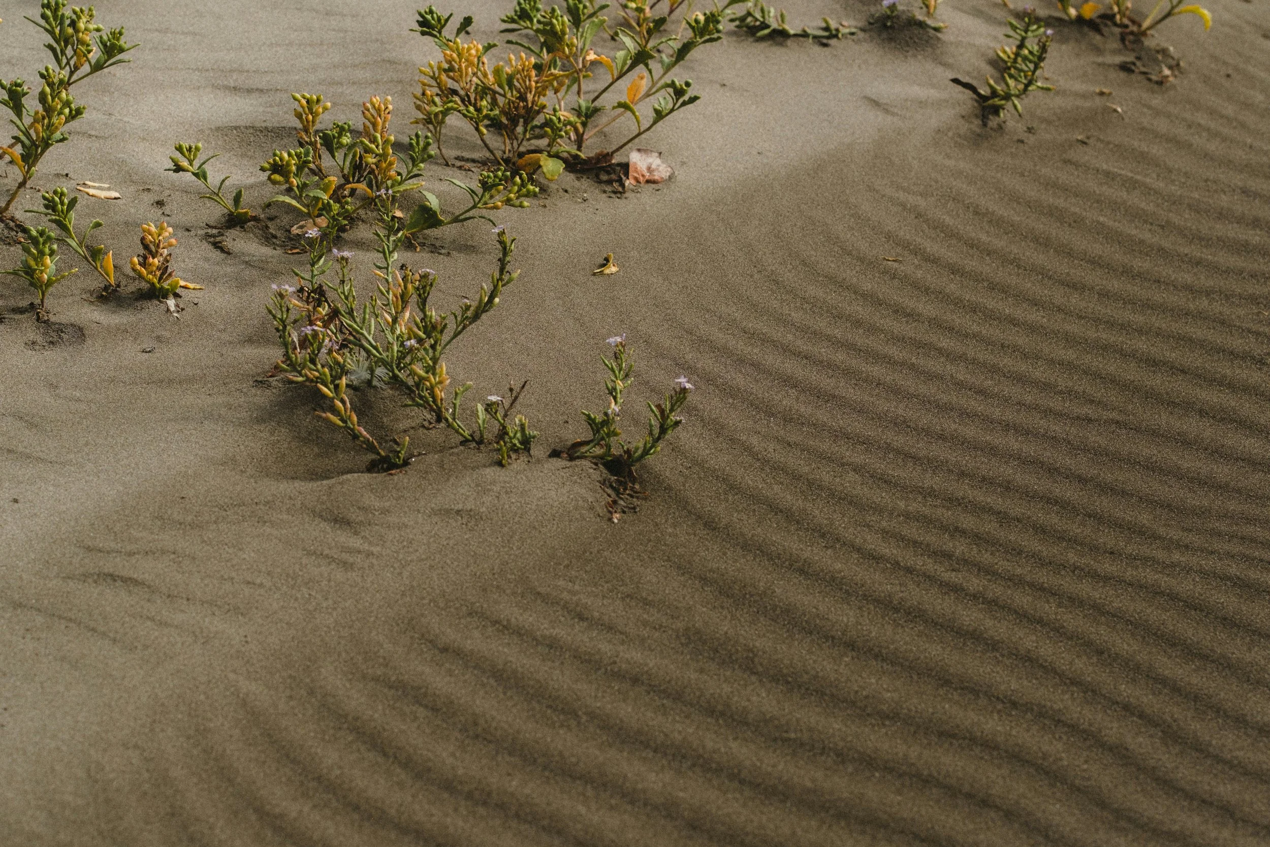 What Grief Really Looks Like: Common Myths About Loss