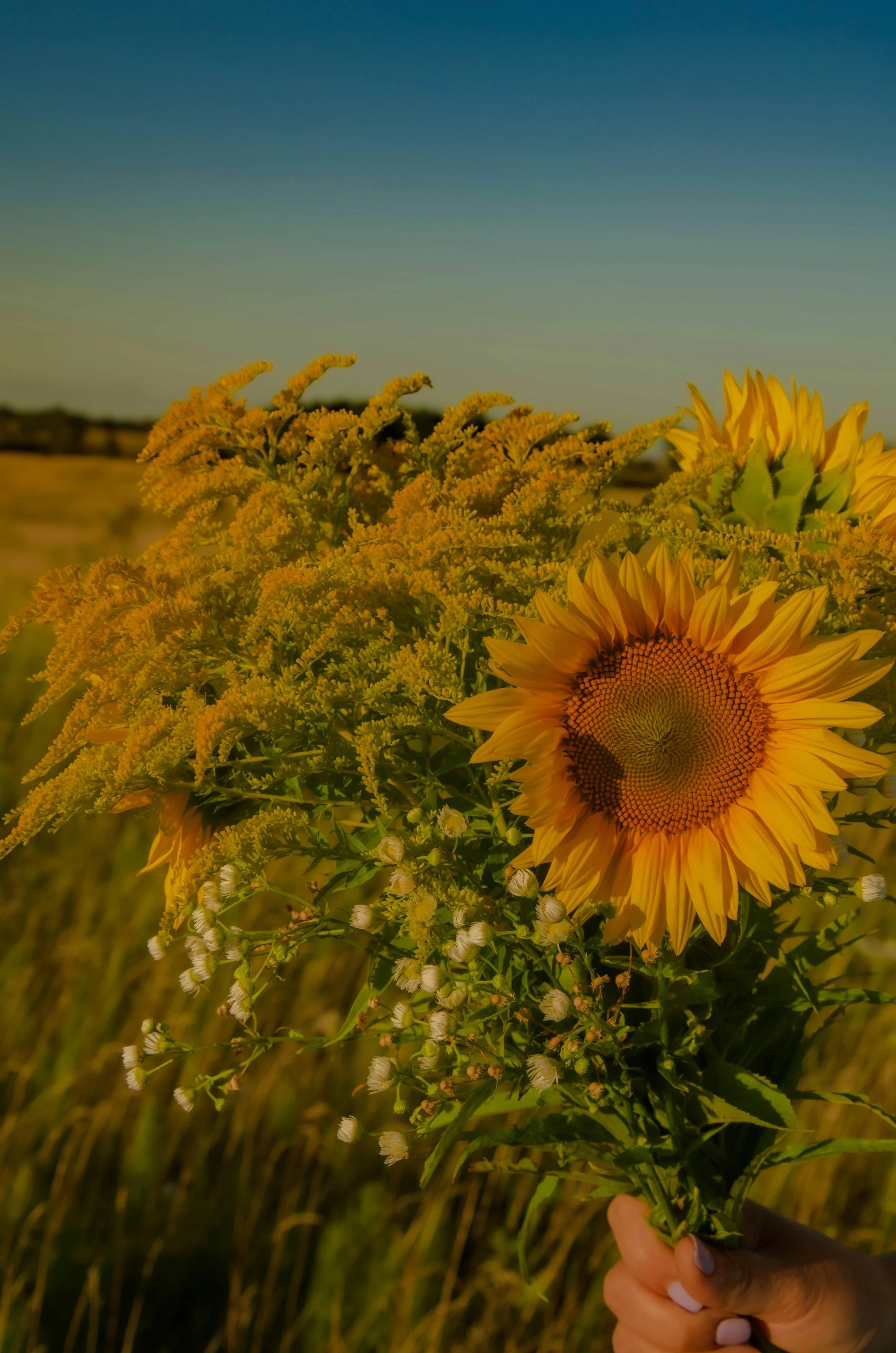 Christi's Reflection: What I've Learned About Grief and Healing