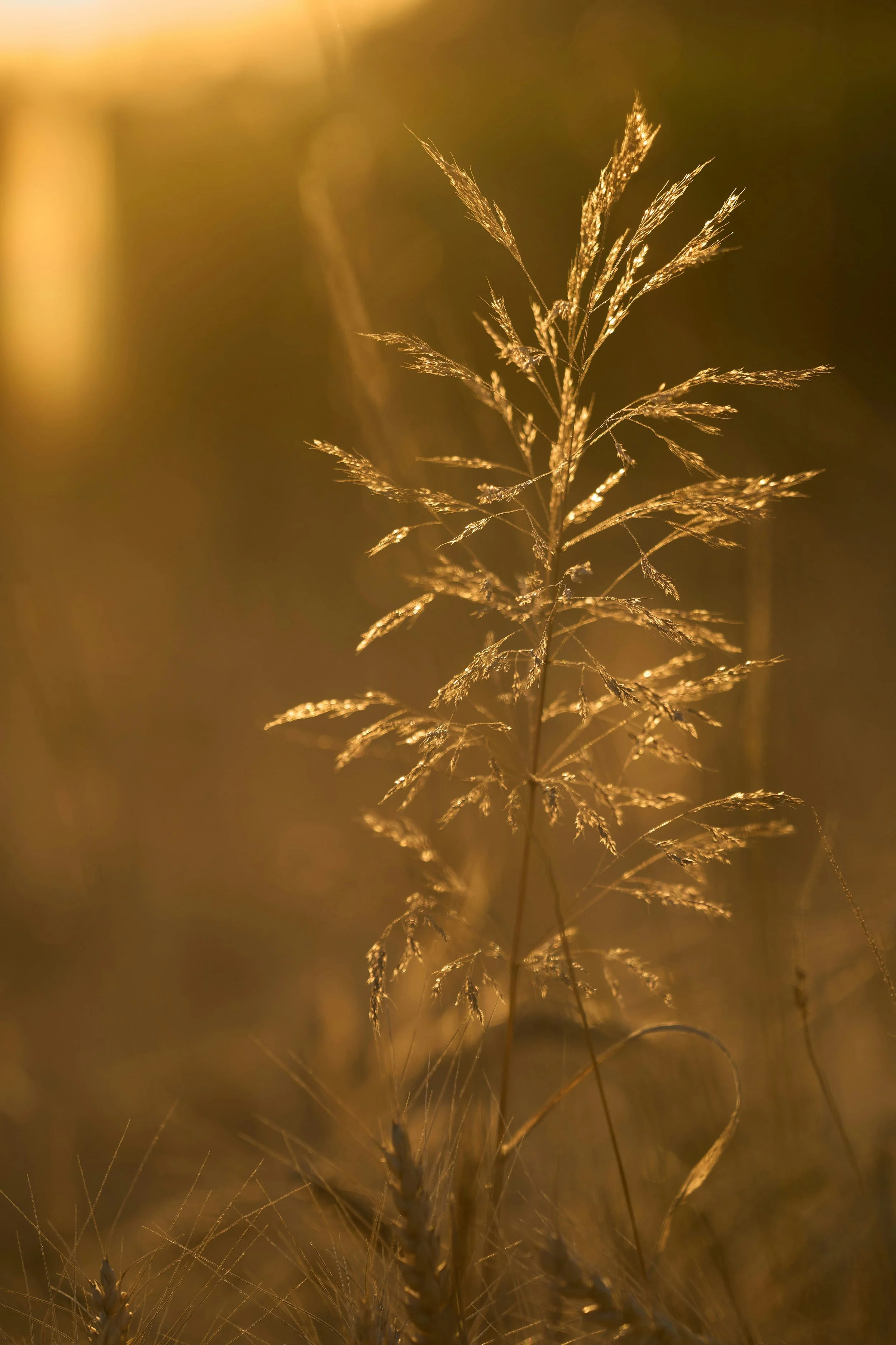 What Trauma-Informed Support Actually Means