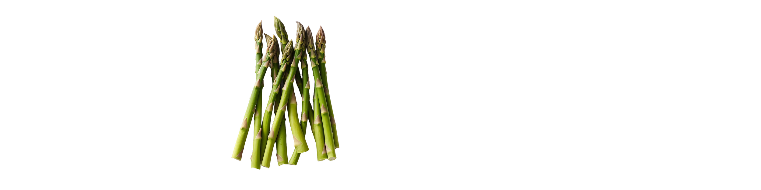 AdobeStock_658942027 copy.png