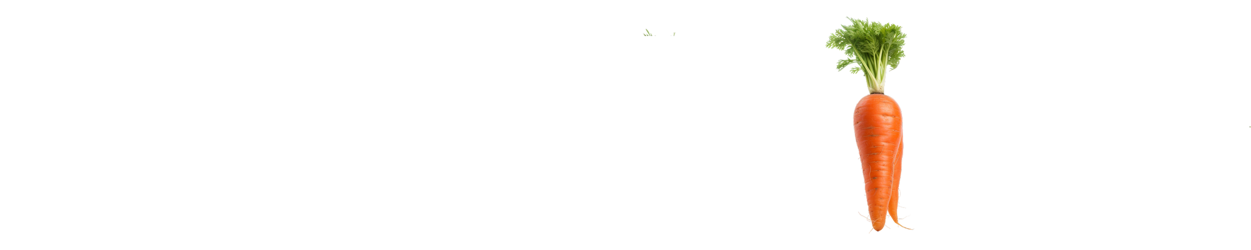 Carrot Isolated.png