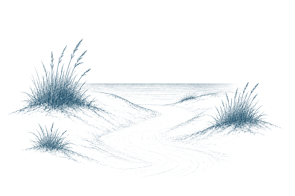 Hand-drawn path winding through sand dunes toward the open ocean, representing organizational coaching and development.