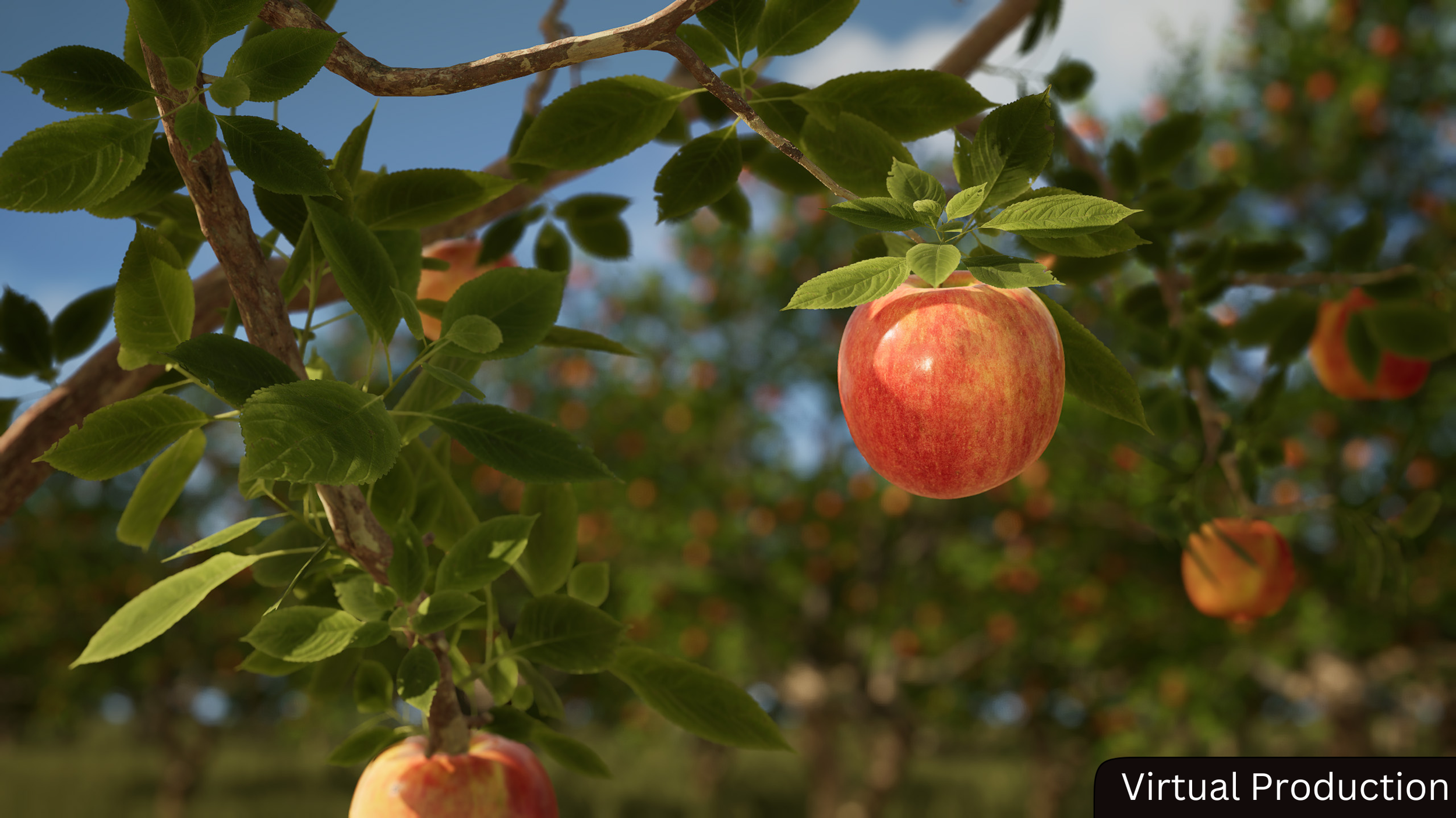 SCAD x The Mill - Angry Orchard Ad (Nov. 2024)