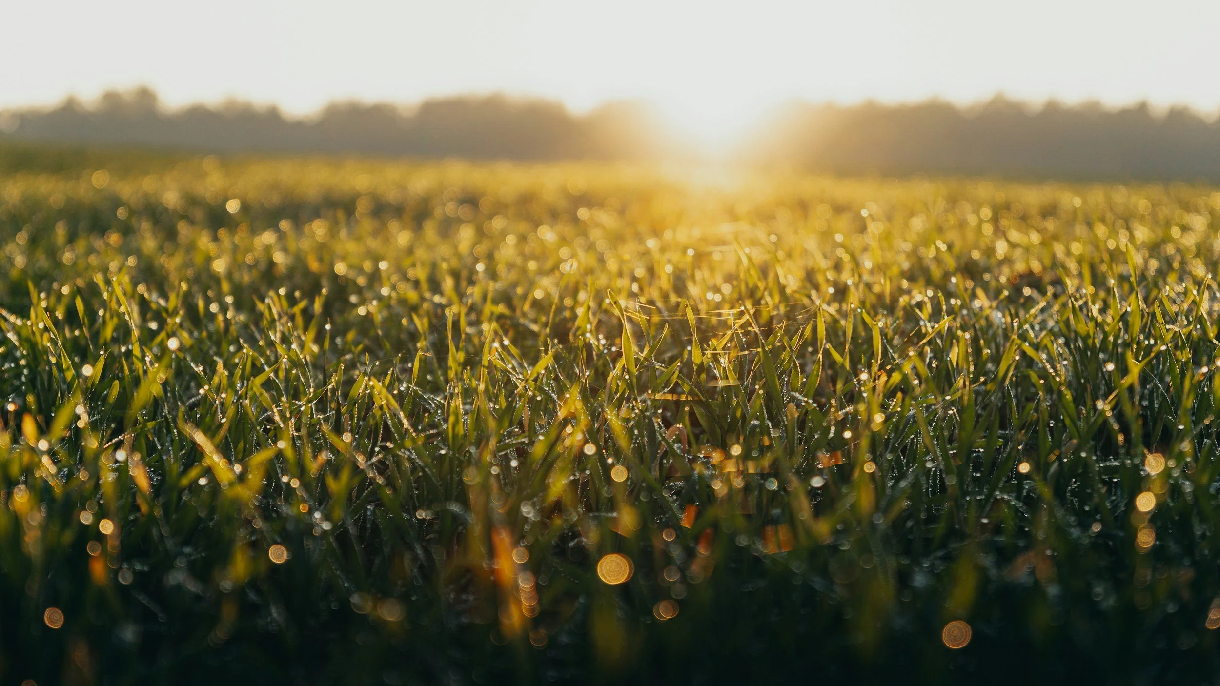 Calm space for gentle goal setting in January