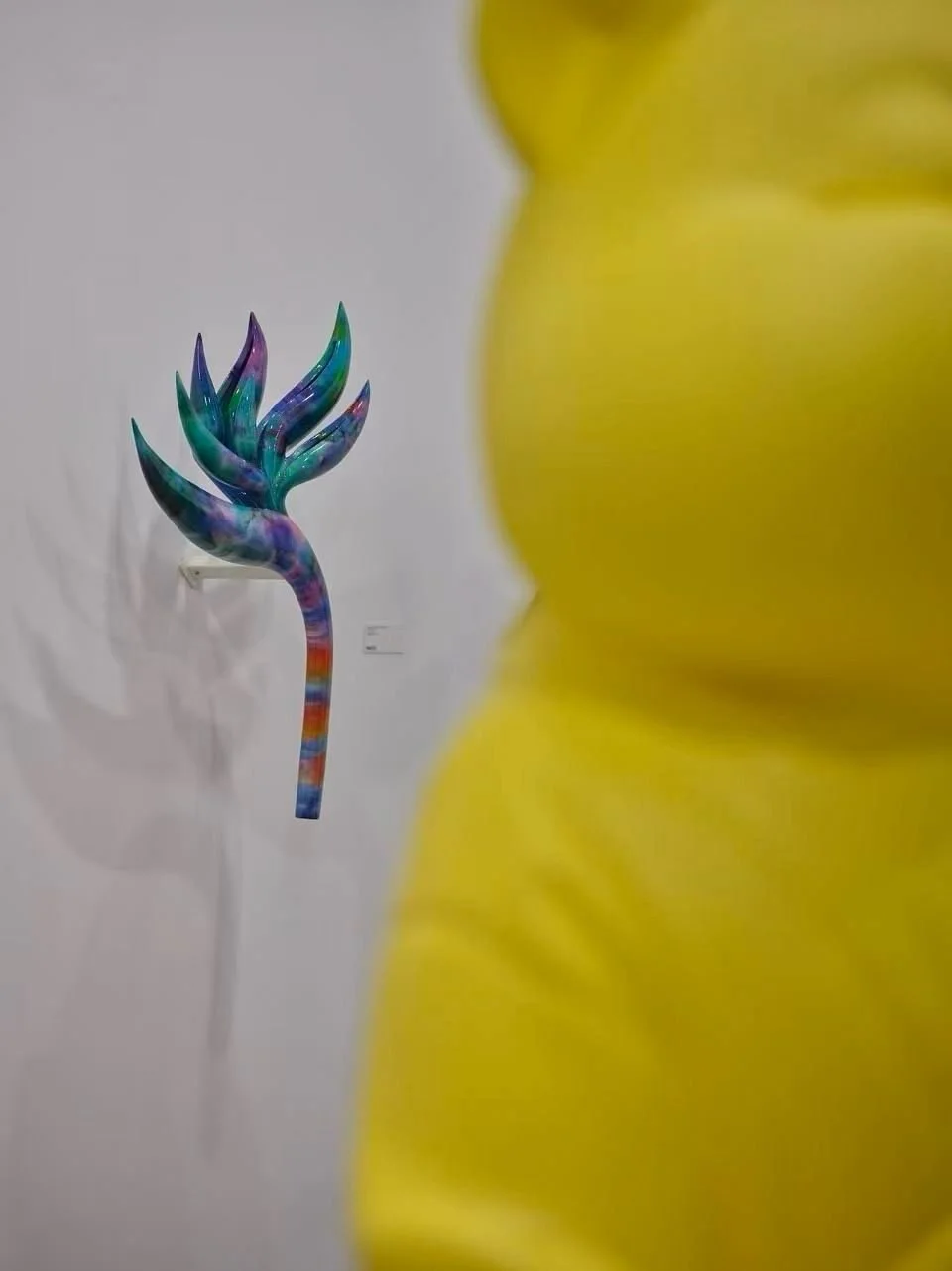 WhatsApp Image 2026-03-08 at 10.00.11.jpeg