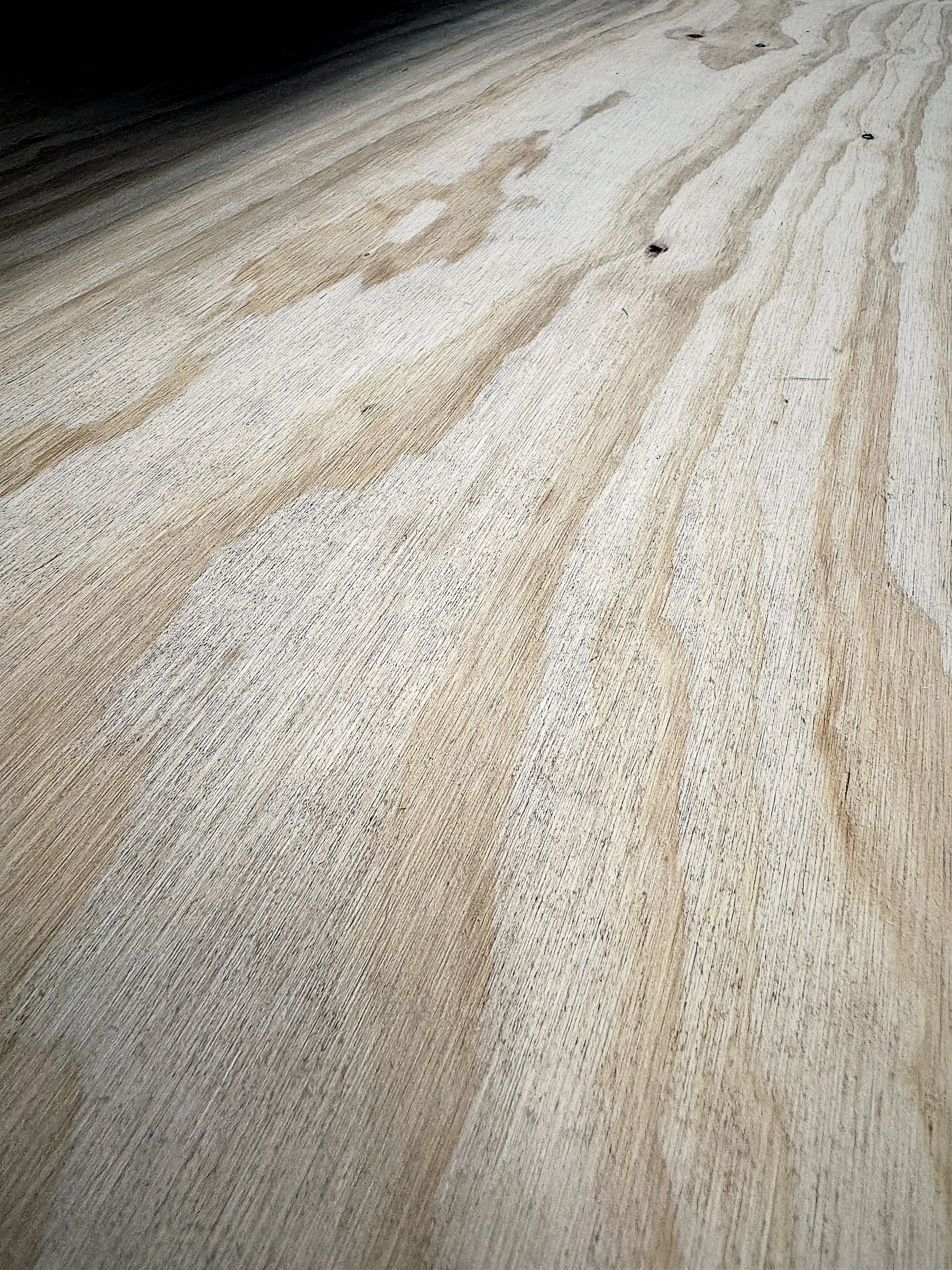 Wood We Ply