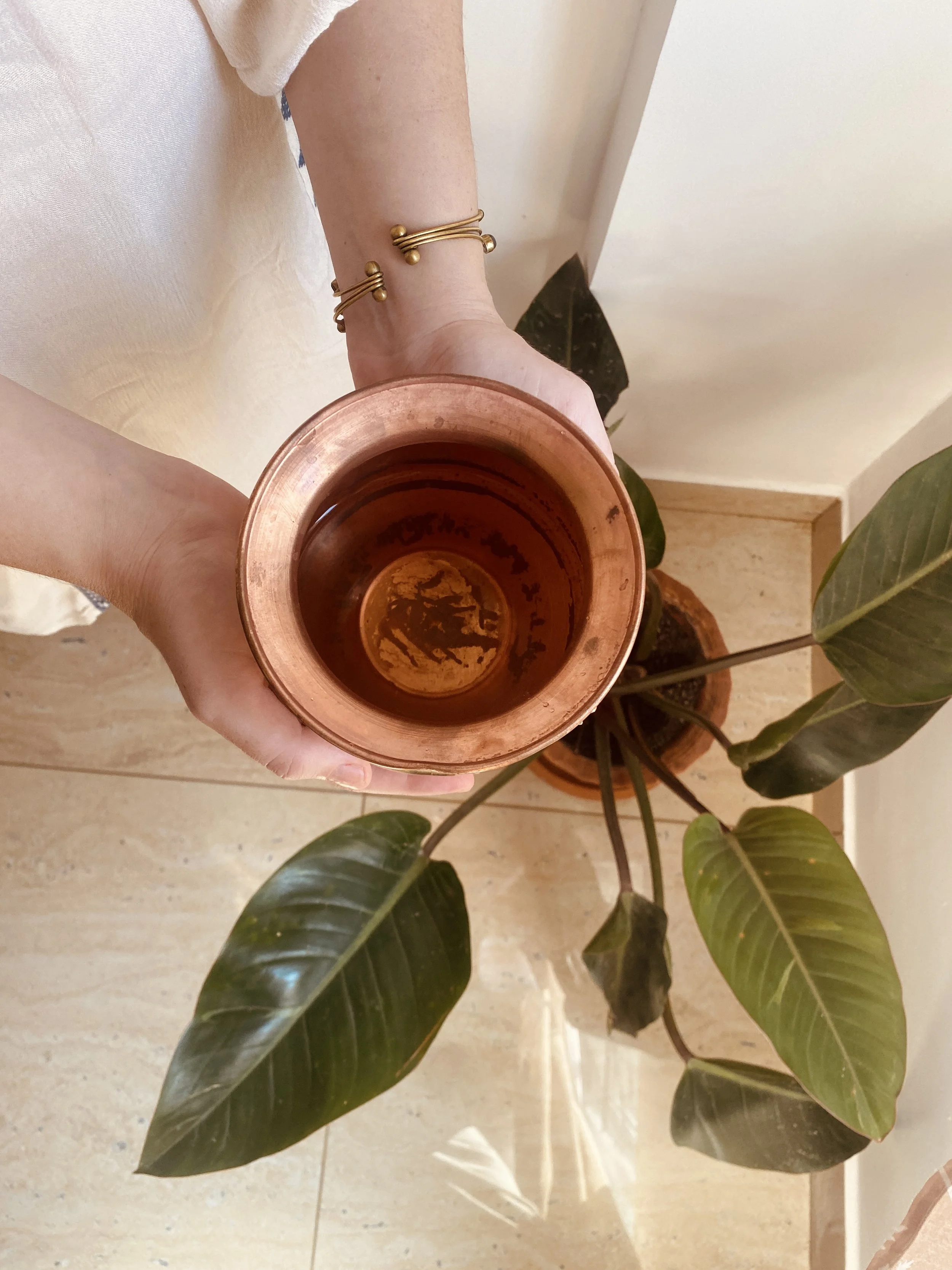 How Ayurveda and Yoga are linked