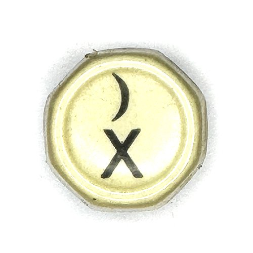 5X.jpg