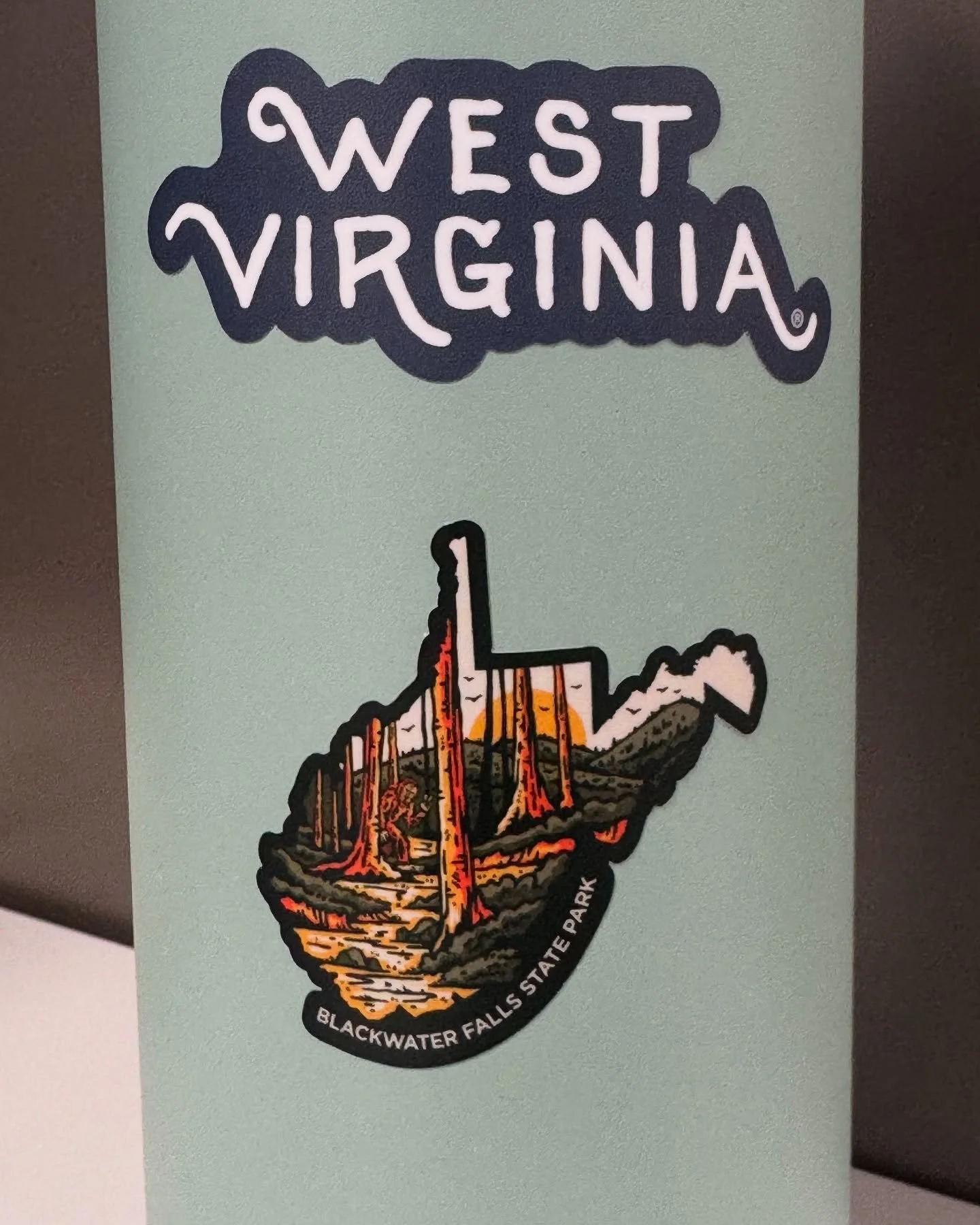 Good to be back in the Wild &amp; Wonderful 💙💛