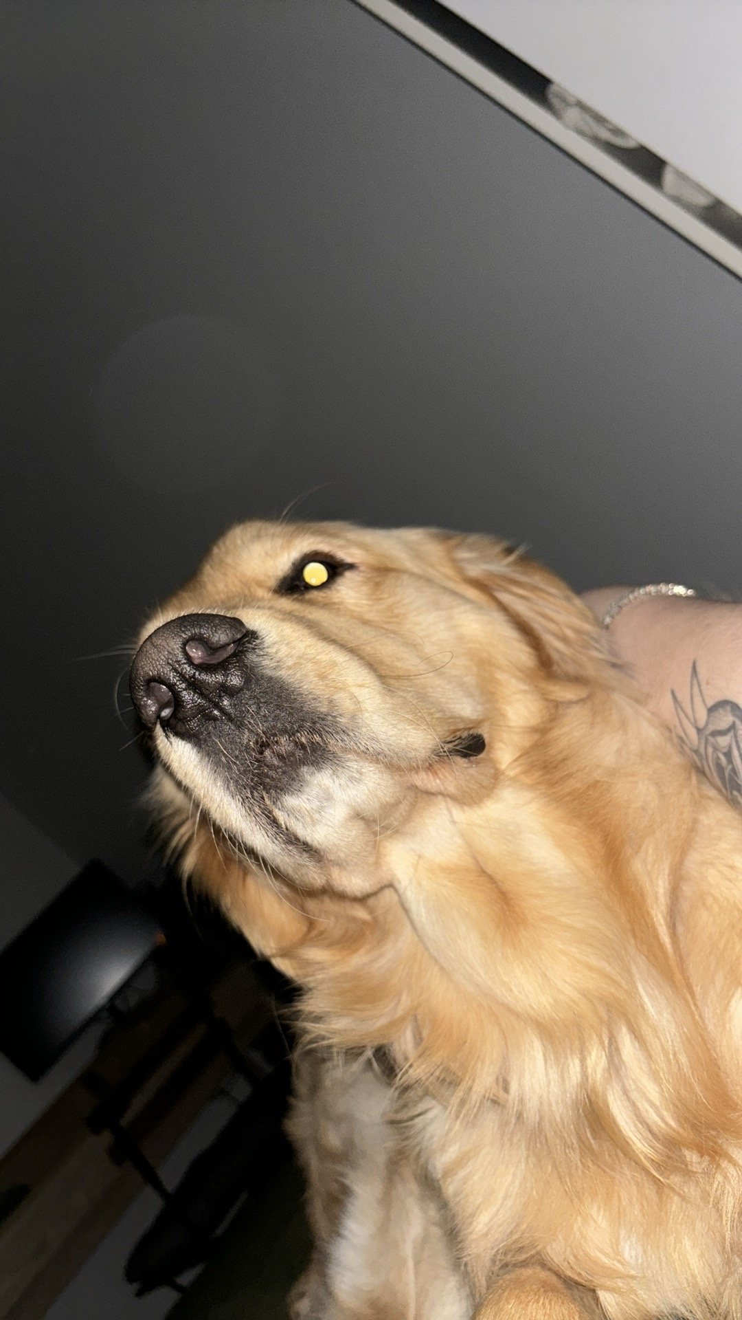 IMG_3227.jpeg