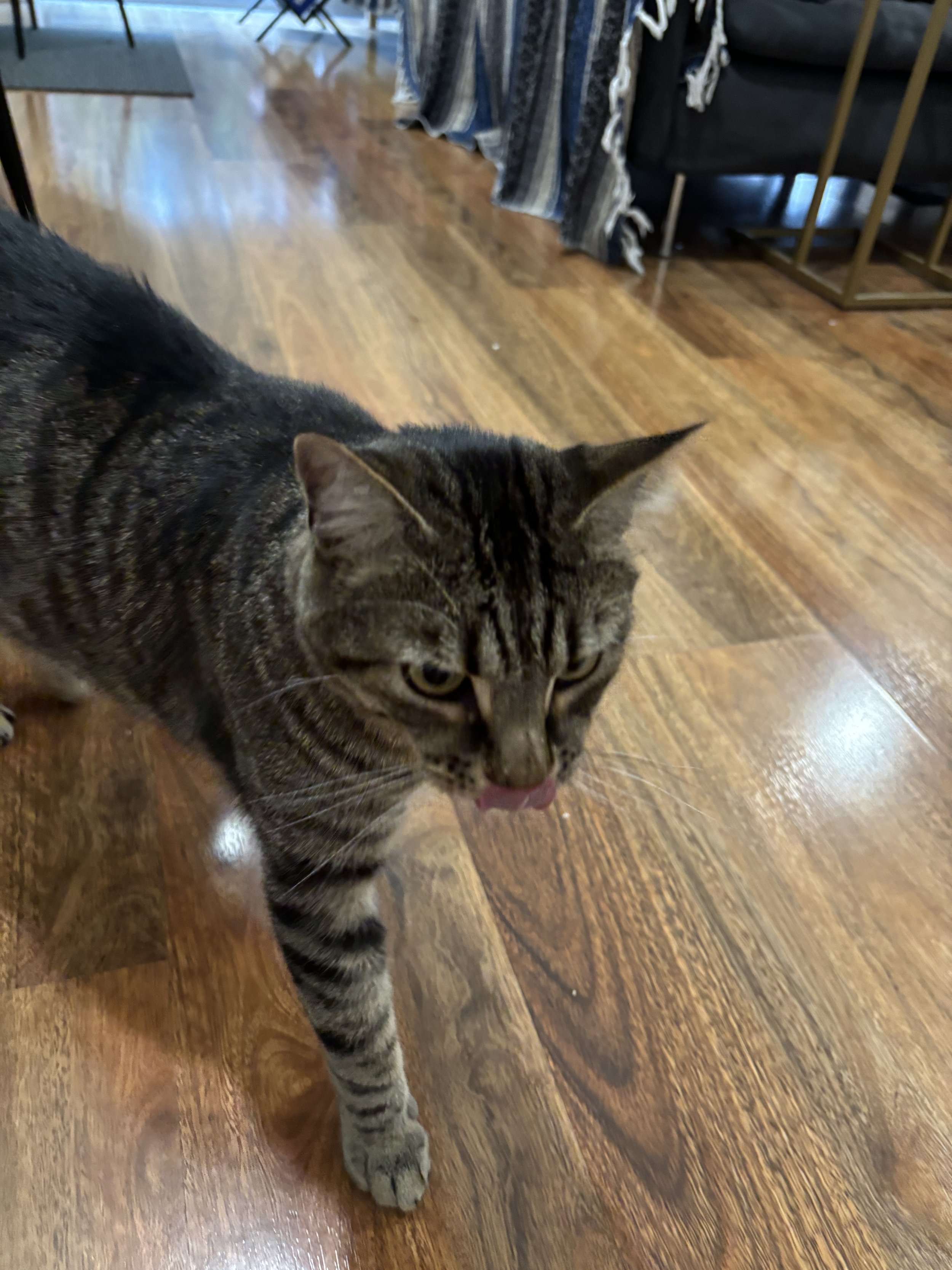 IMG_3306.jpeg