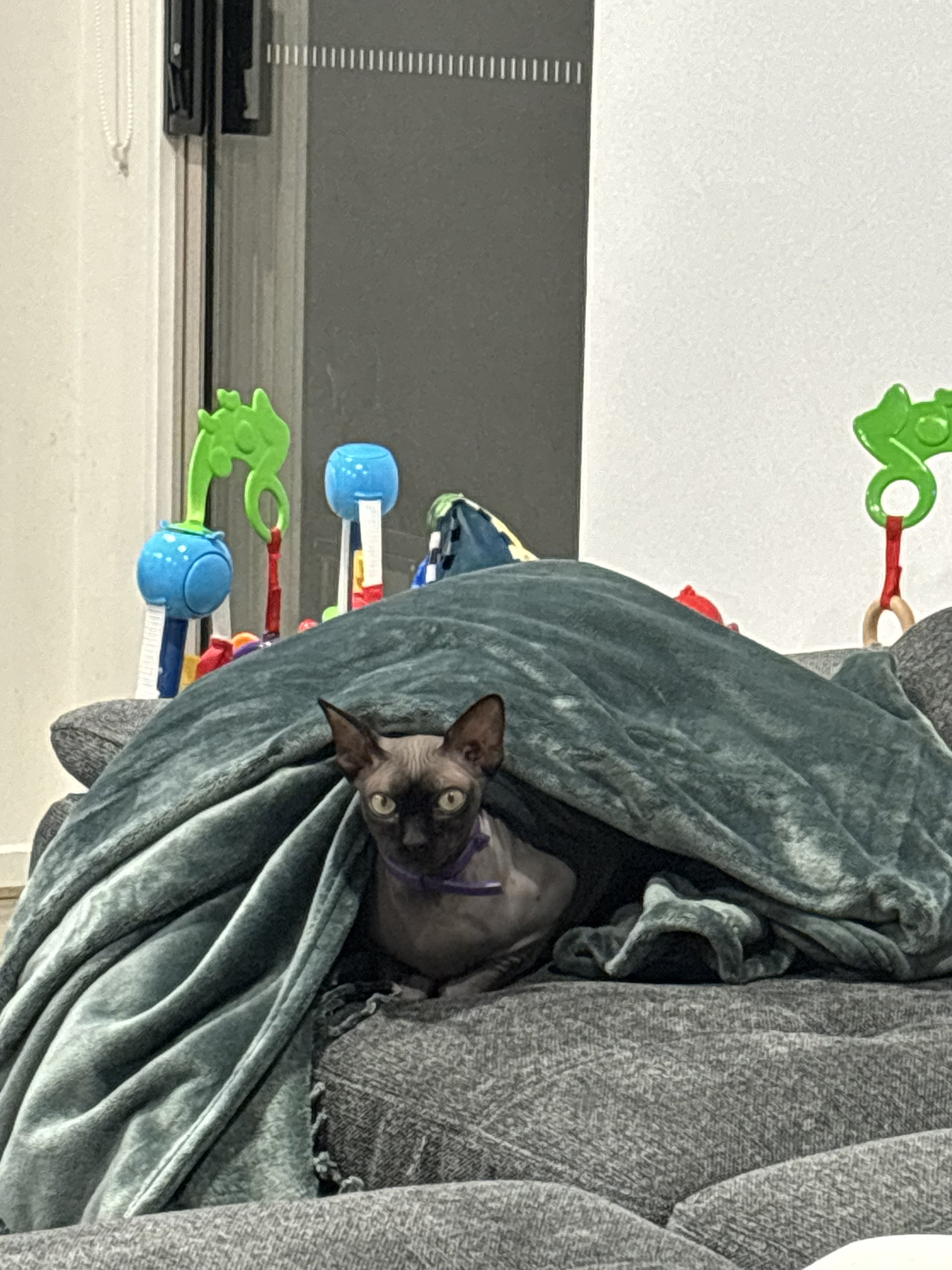 IMG_3097.jpeg