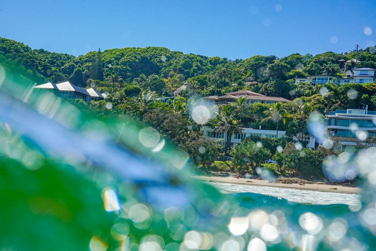 Where the grass is greener 🌿