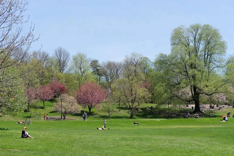 What Are the Best Spring Activities to do in NYC Parks in 2026?
