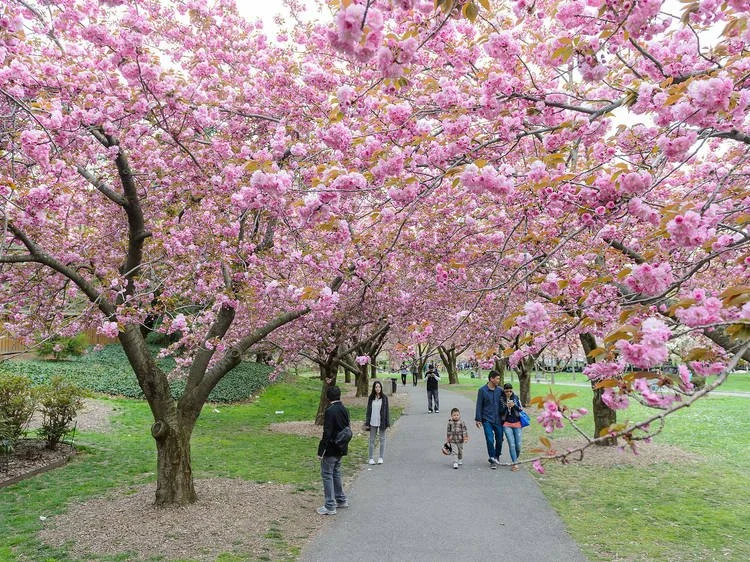 What Outdoor Activities are Open in NYC during Spring in 2026? 