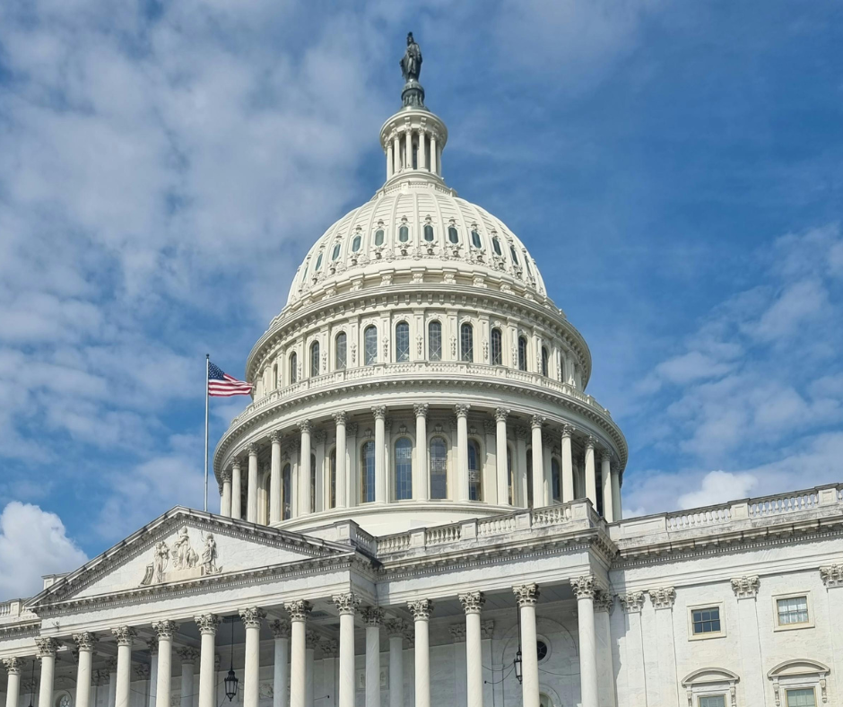 What are the Top 10 Best Cleaning Services in Washington D.C. in 2026?