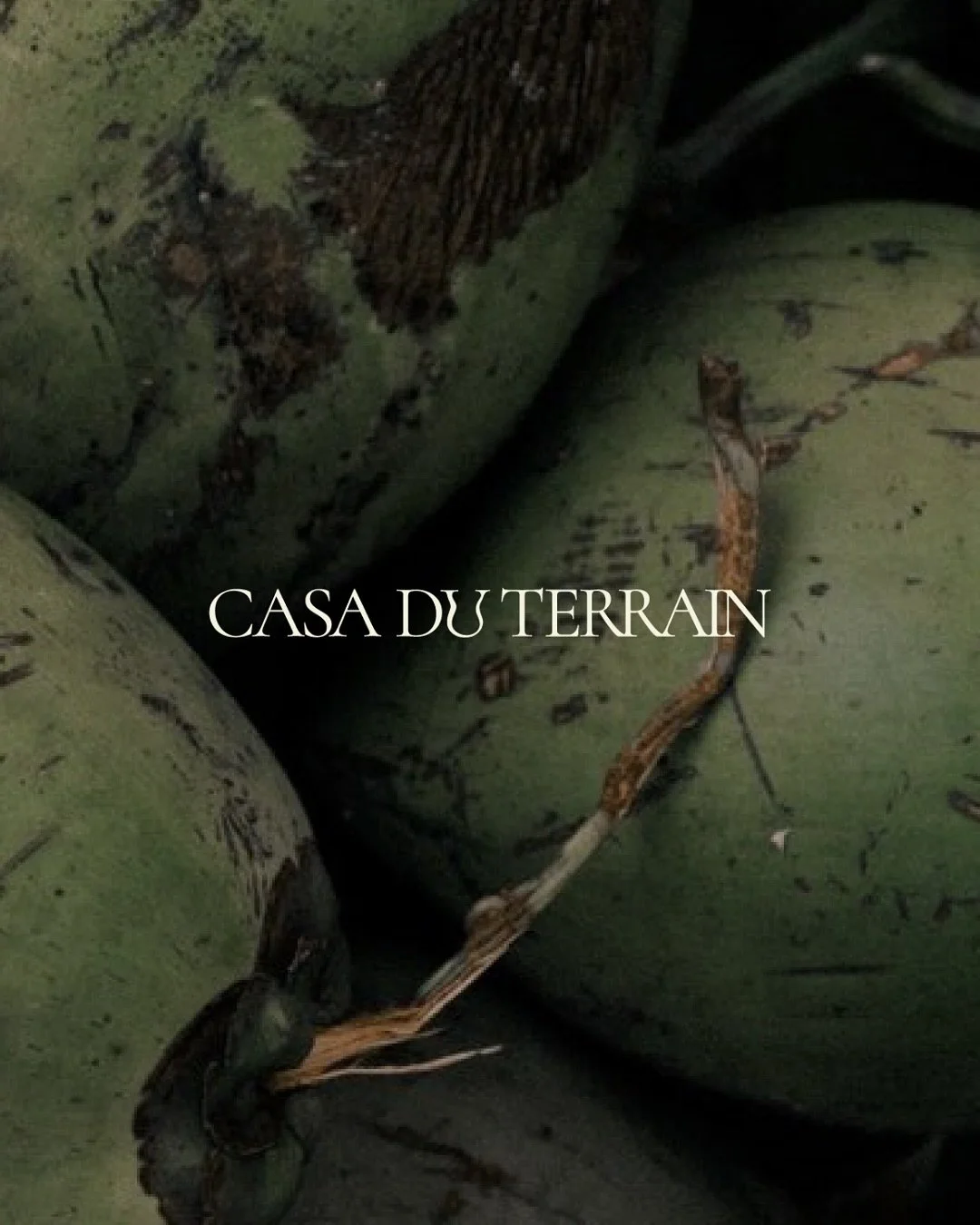 Casa Du Terrain | Brand Design

Crafted for Casa Du Terrain &mdash; a tennis club nestled in Bosques de Chapultepec, where court and culture meet.

French architecture, Mexican terrain. A monogram shaped by motion. Terracotta and olive green.

Here, 