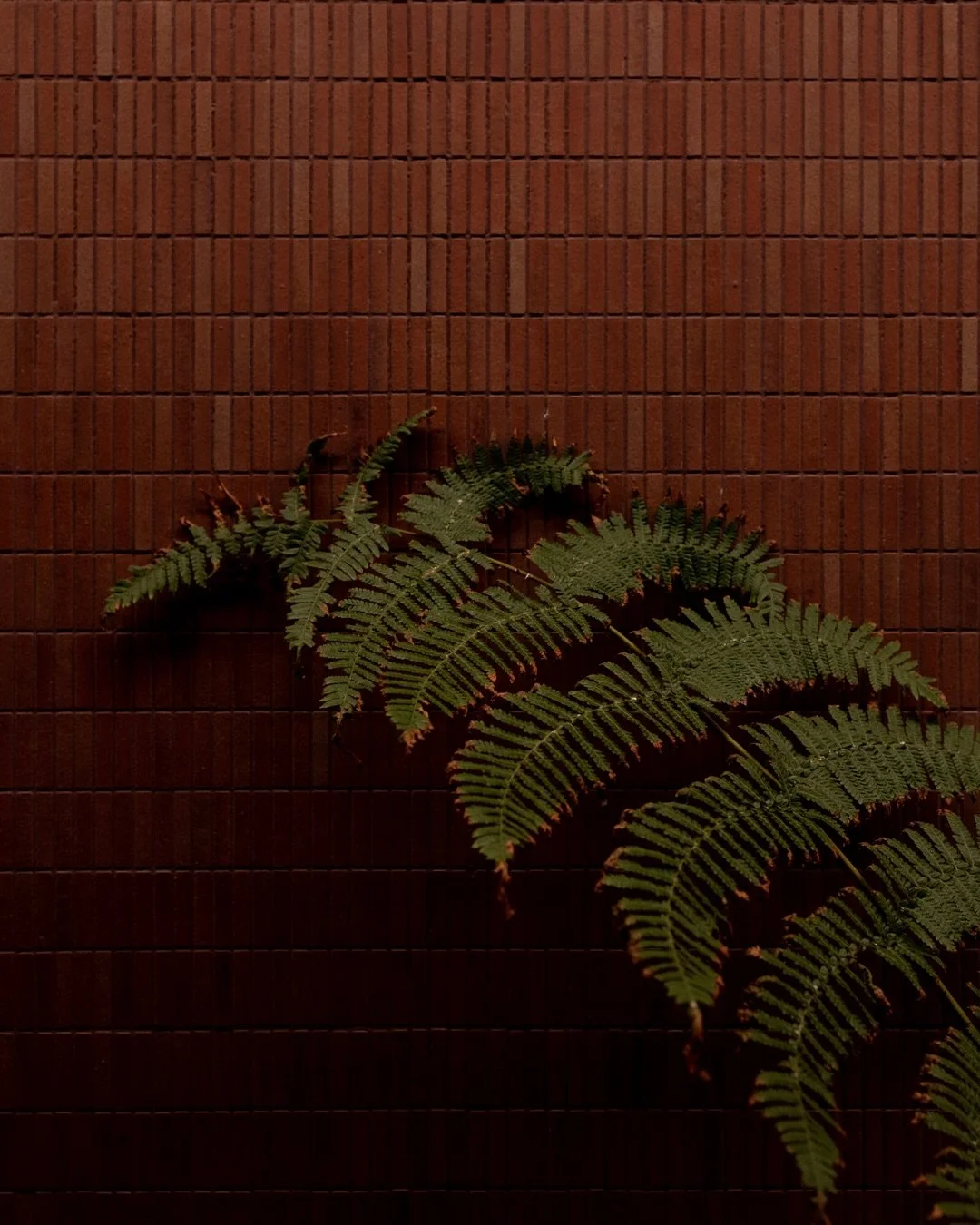 From the Archive | Photography  A few of my favourite captures from 2025.

Created for spaces choosing slow, intentional storytelling over fast trends. 
&ndash; Belle