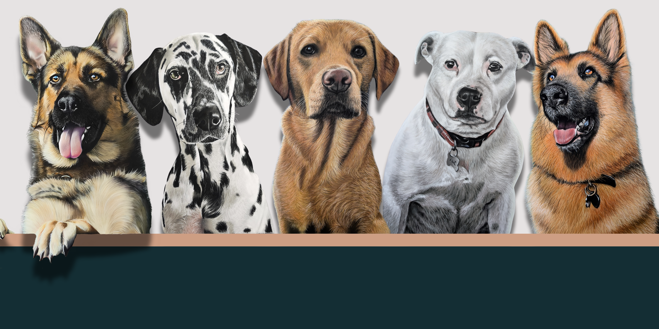 large banner with realistic dog drawings