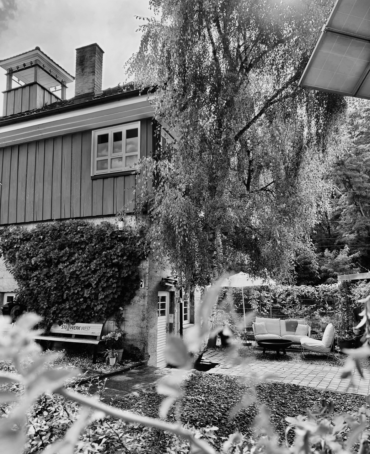 Schwarz-Weiß-Foto eines Gartens mit einem Baum, einer Gartenbank, einem Sofa und einer Terrasse neben einem Haus mit Holzverkleidung.