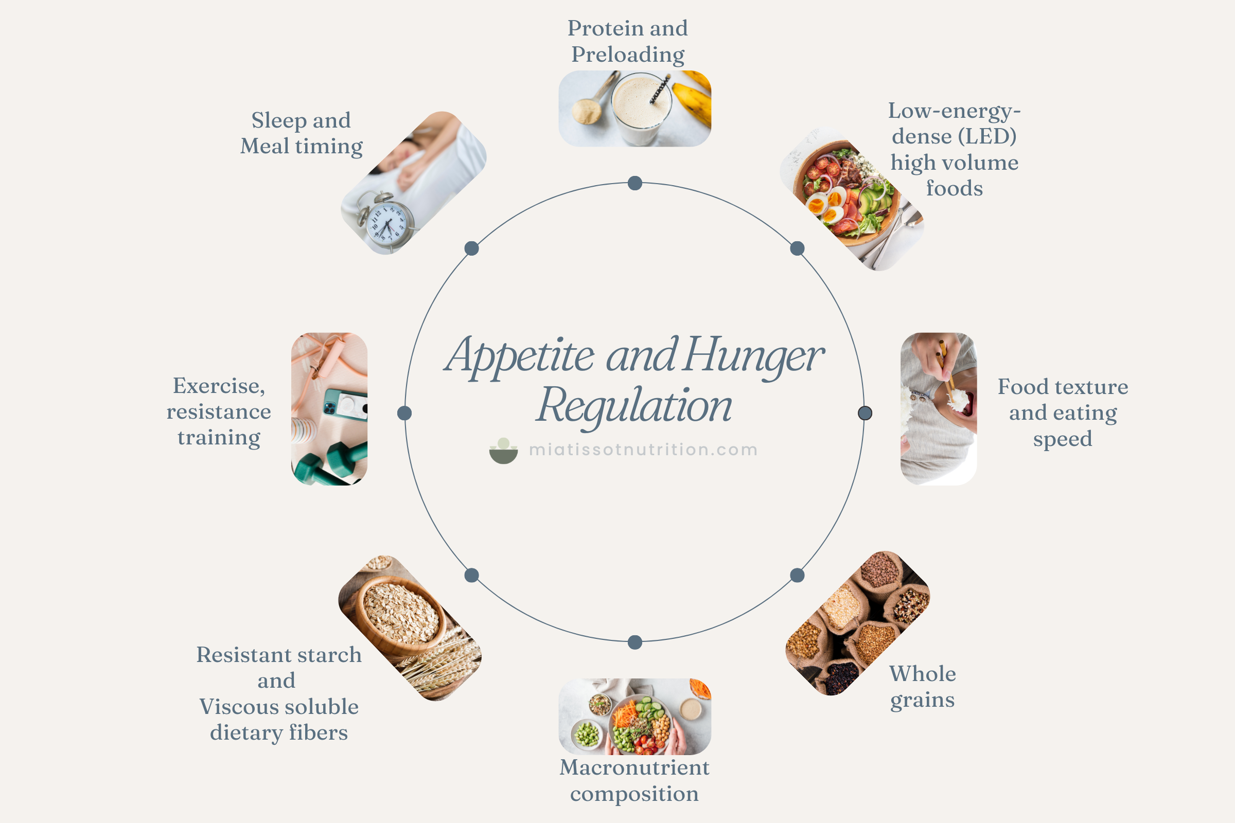 infographic displaying appetite and hunger regulation strategies like: protein , preloading, low energy dense foods, eating speed, food texture, whole grains, macronutrient composition, sleep, exercise, resistant starch and viscous soluble fiber.
