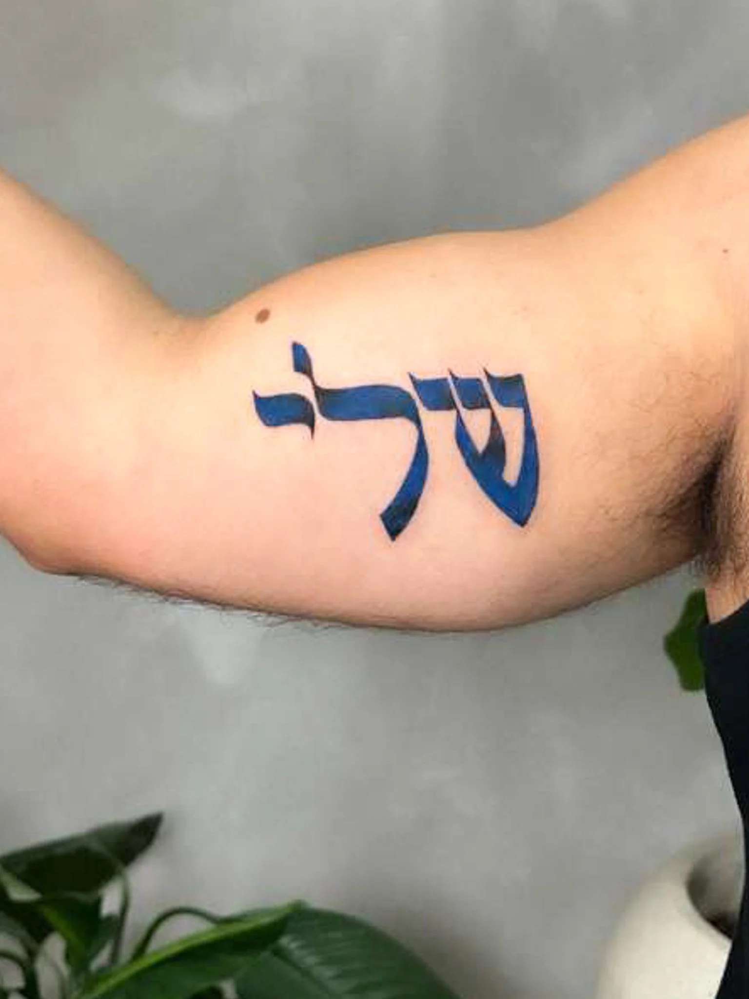 Tommer Shalom