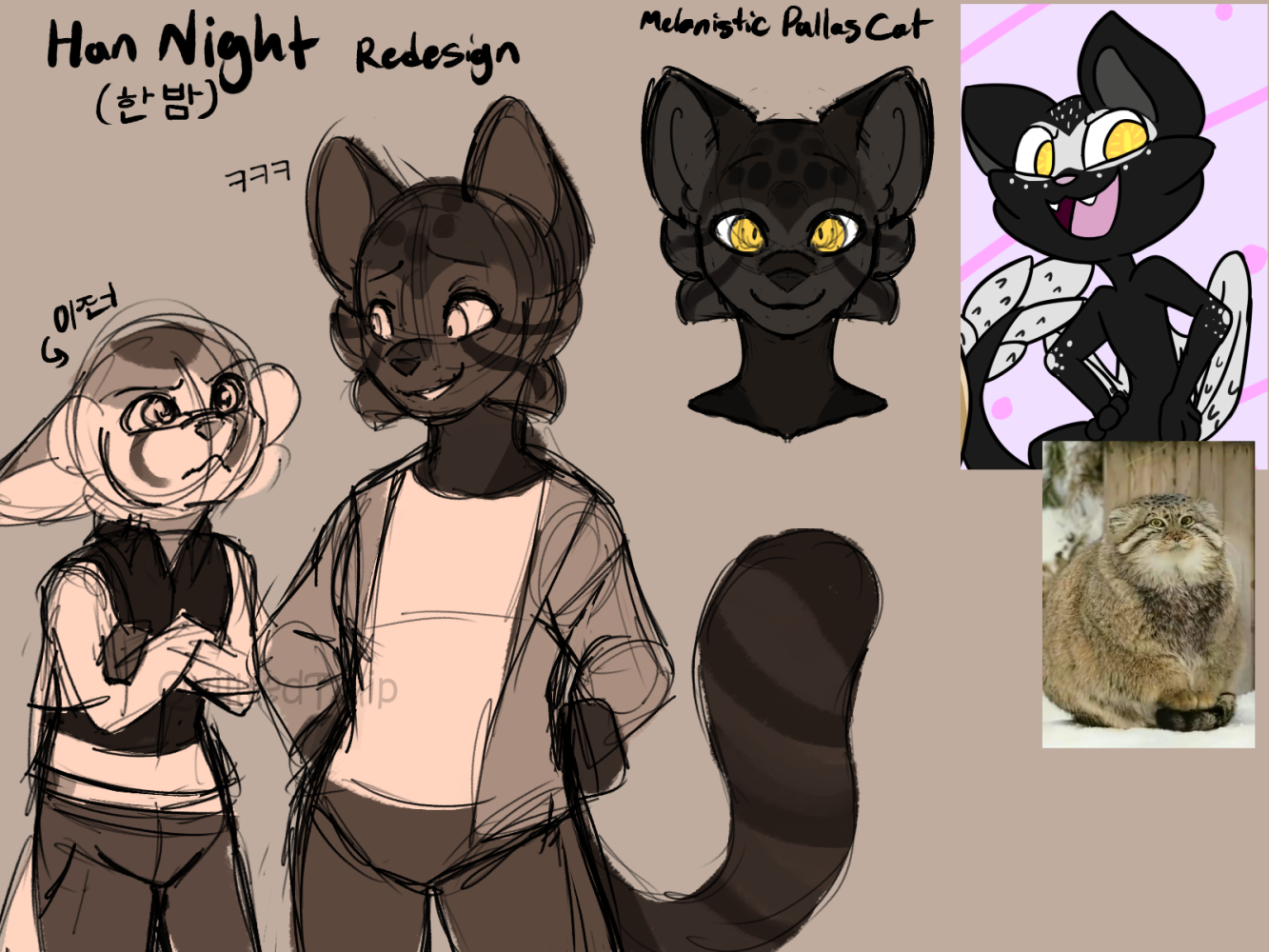 night redesign.png