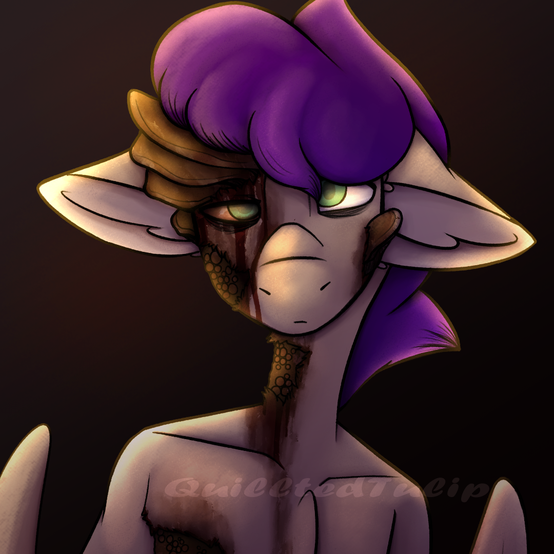day 14.png
