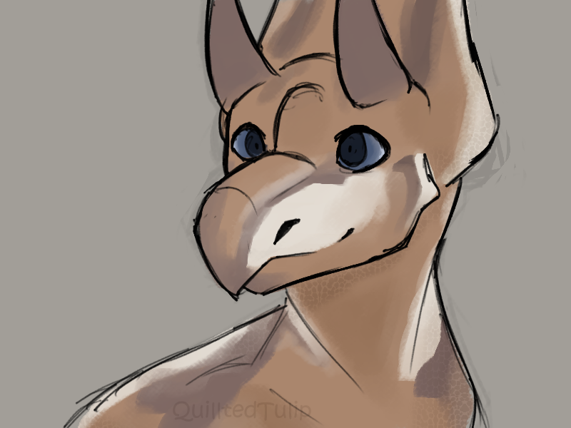 Illustration.png
