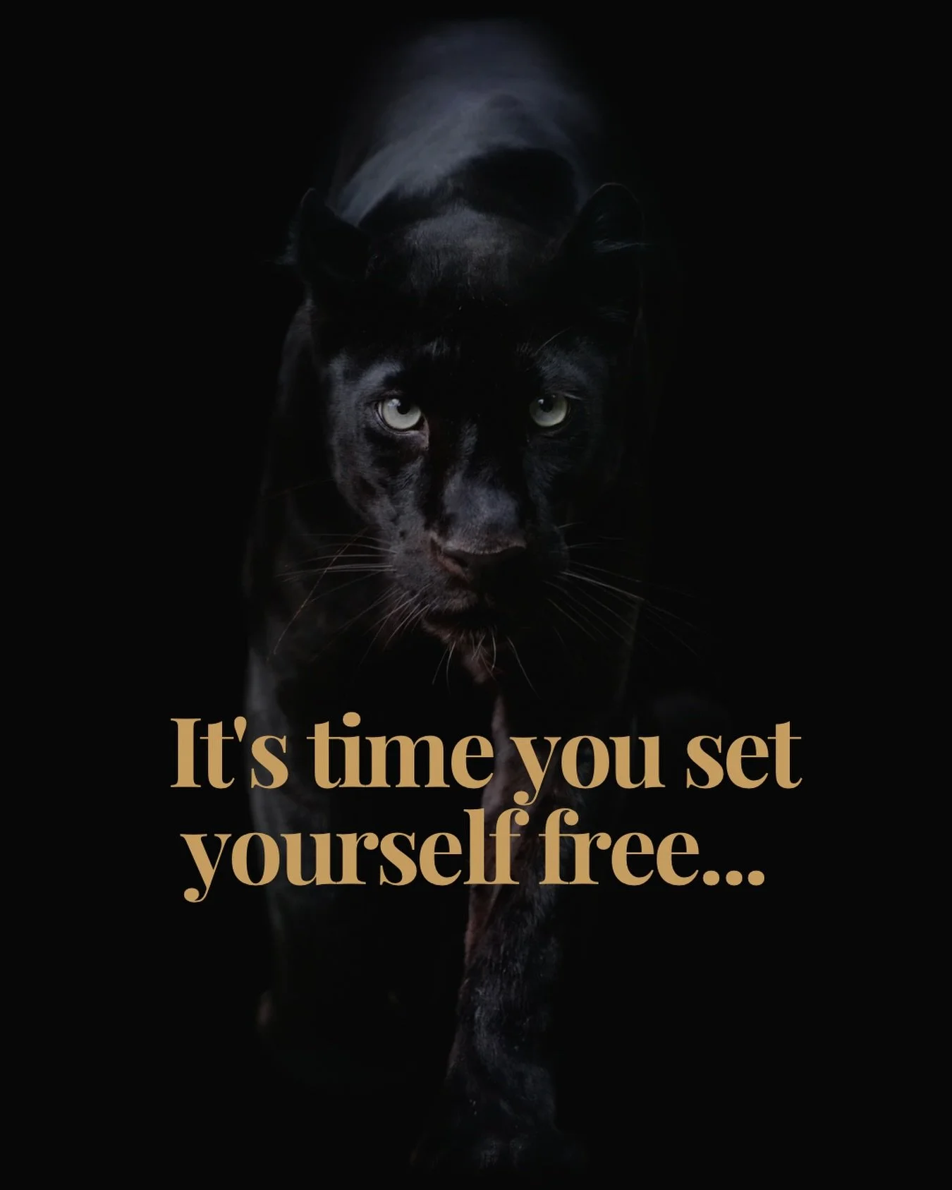 I see so many women make money, be successful, have relationships&hellip; having everything on the outside but they aren&lsquo;t truly free. 

If you&lsquo;re still operating from overwhelm, fear or pressure, it will only be amplified

The goal is to