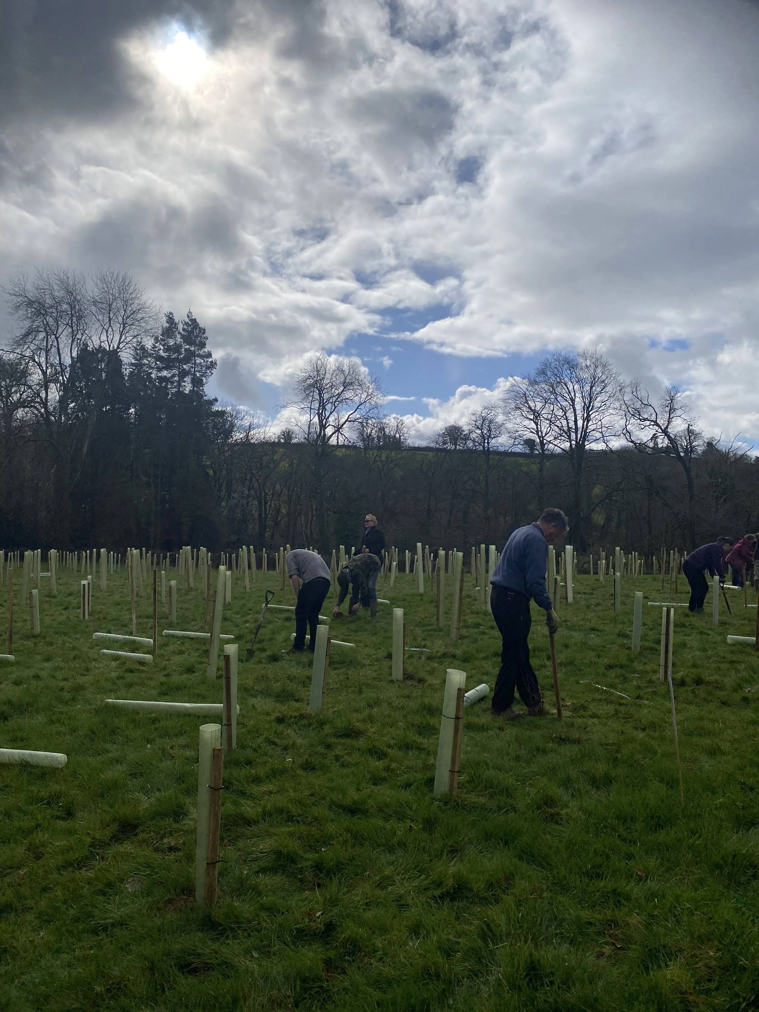 Tree planting wide shot.jpg
