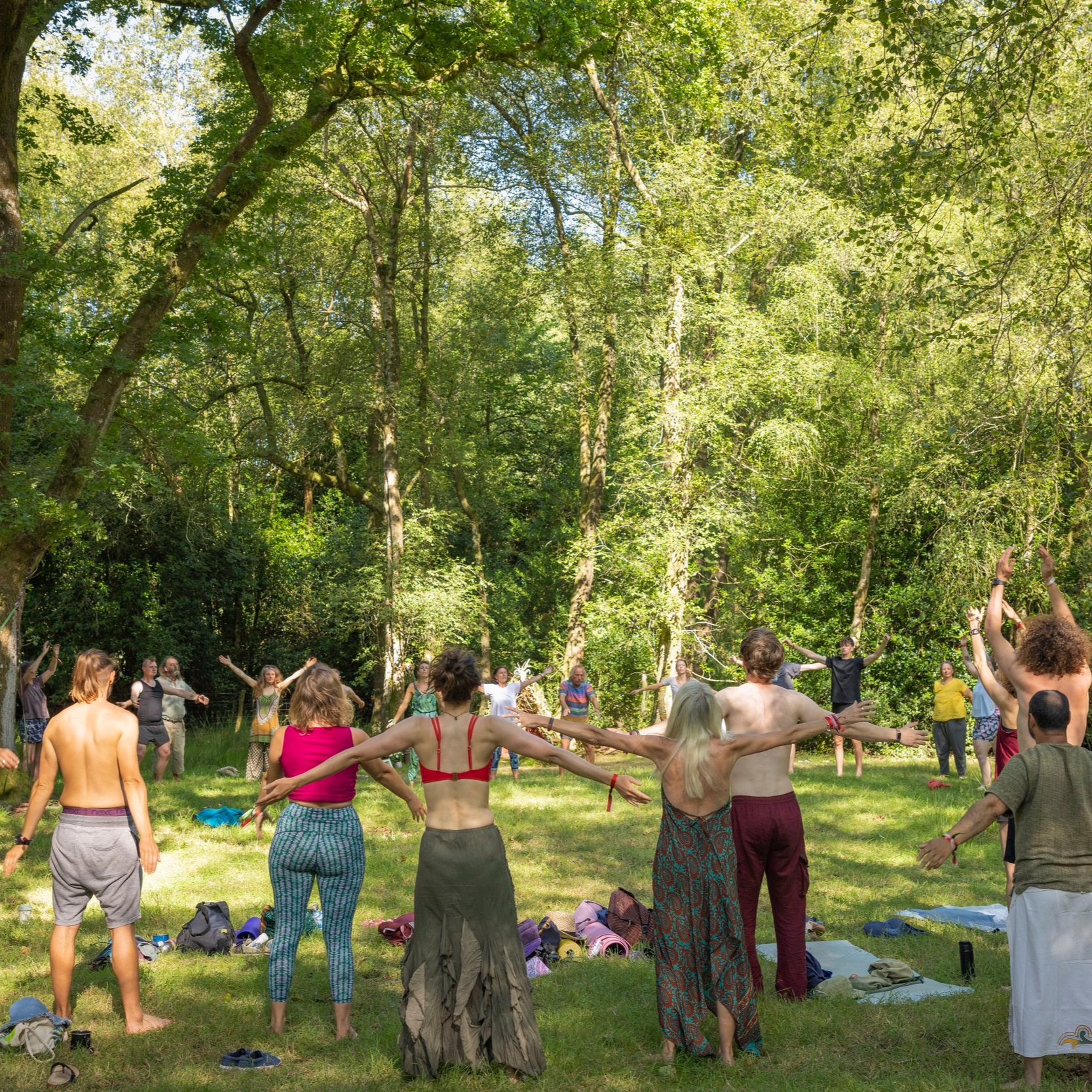 Tree Yoga: Exploring the Wisdom of the Trees