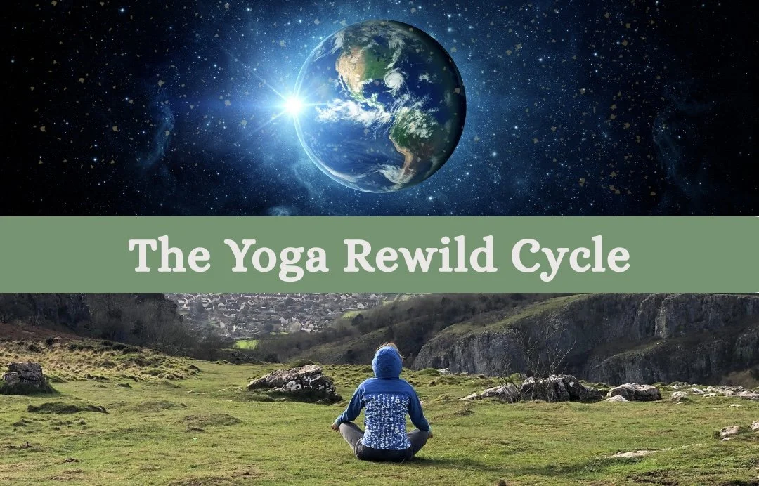 The Yoga Rewild Cycle