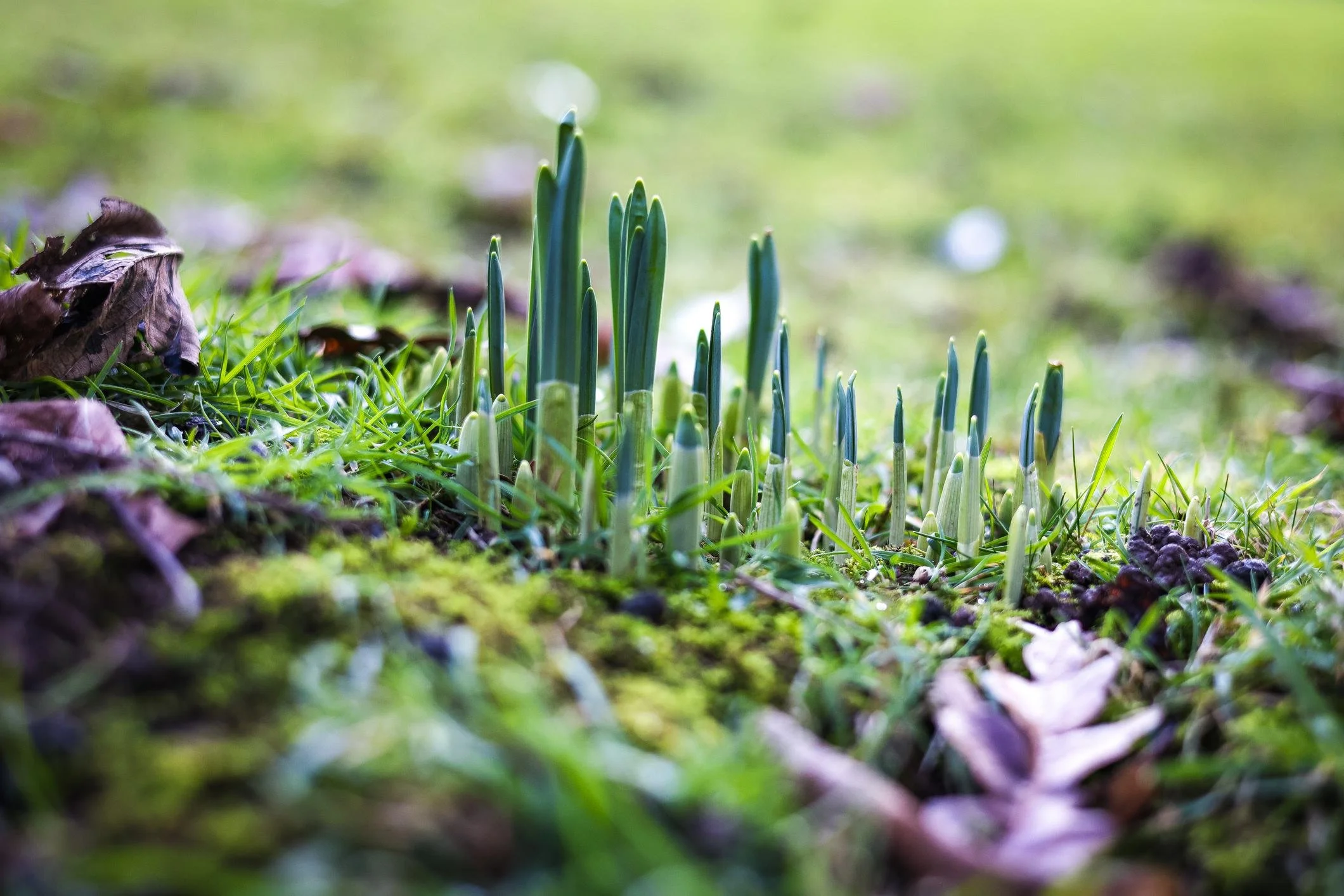 Easing Out of Winter: Cyclical Yoga &amp; Spring Renewal 