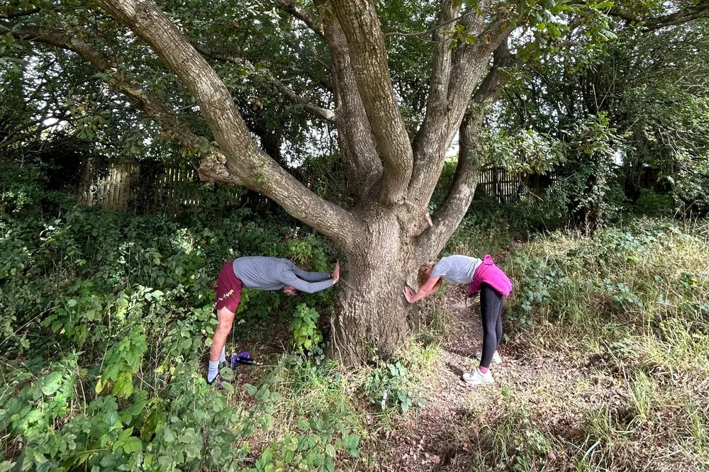 Tree to Tree Yoga