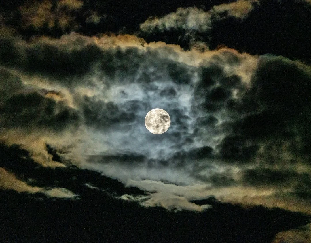 Yoga Rewild - a course that tunes into the lunar cycle