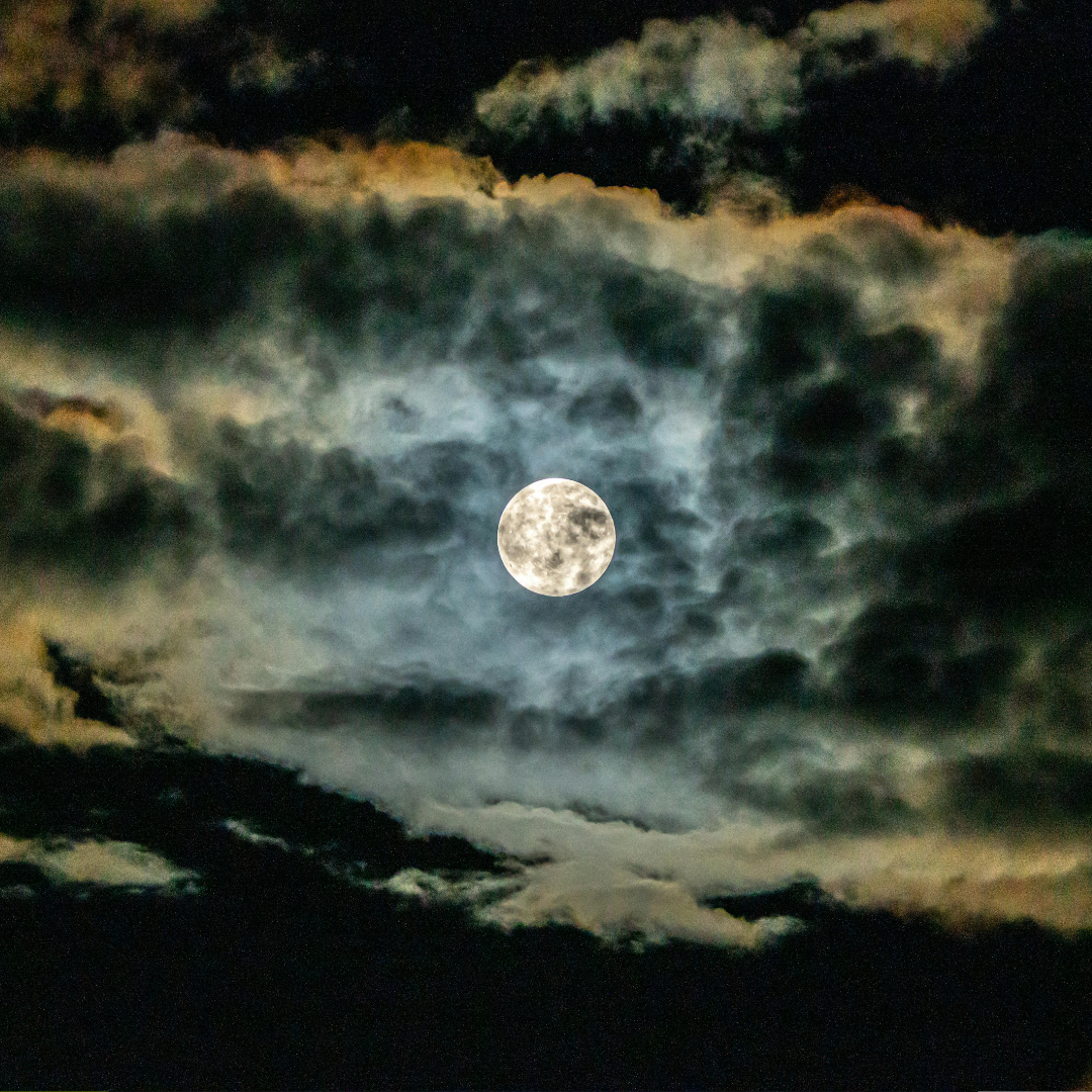 Yoga Rewild cycle advert (1080 x 1080 px) - 6.PNG