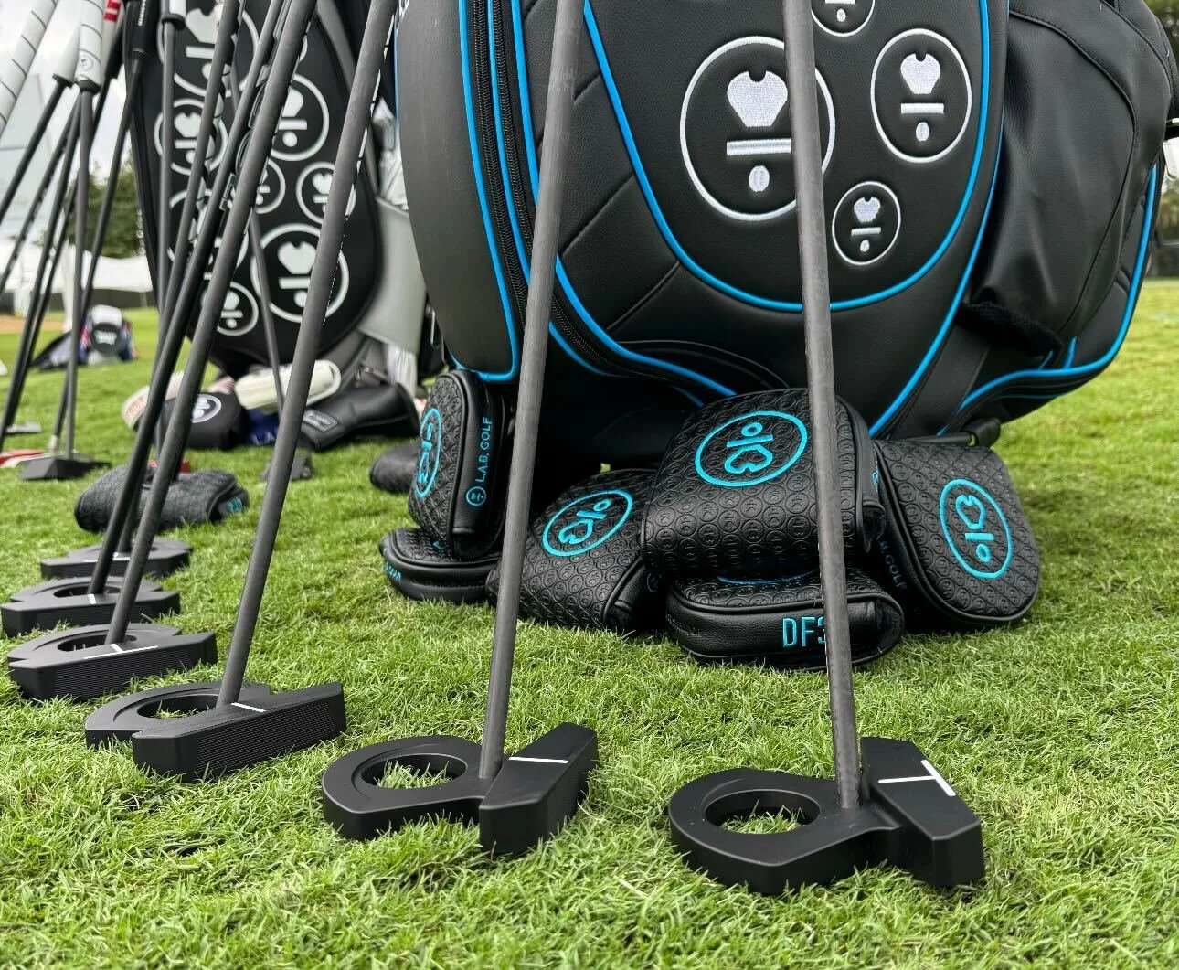 lab golf.jpg
