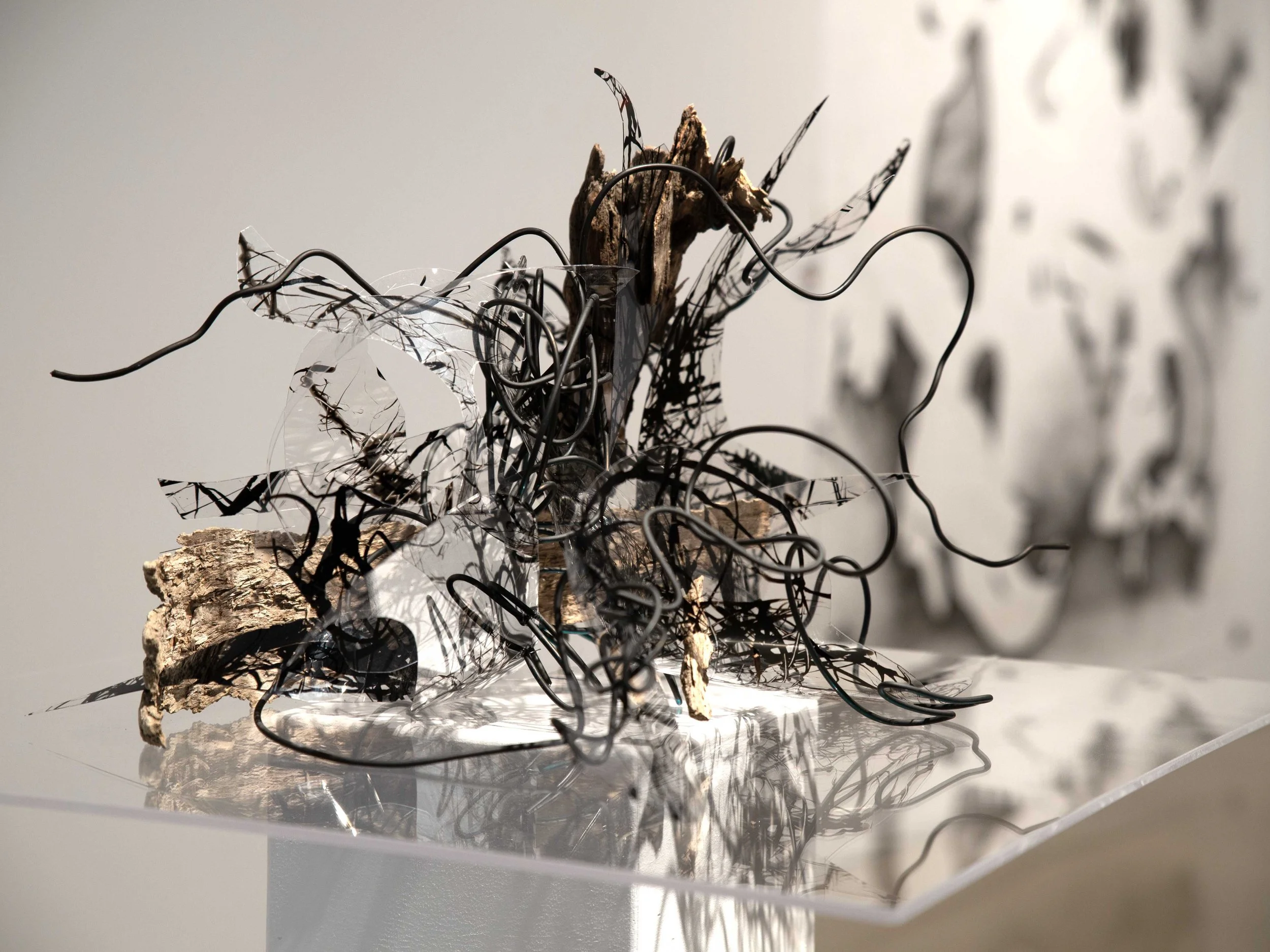 Emersion, 2023, mixed media, 27x27x20-02.jpg