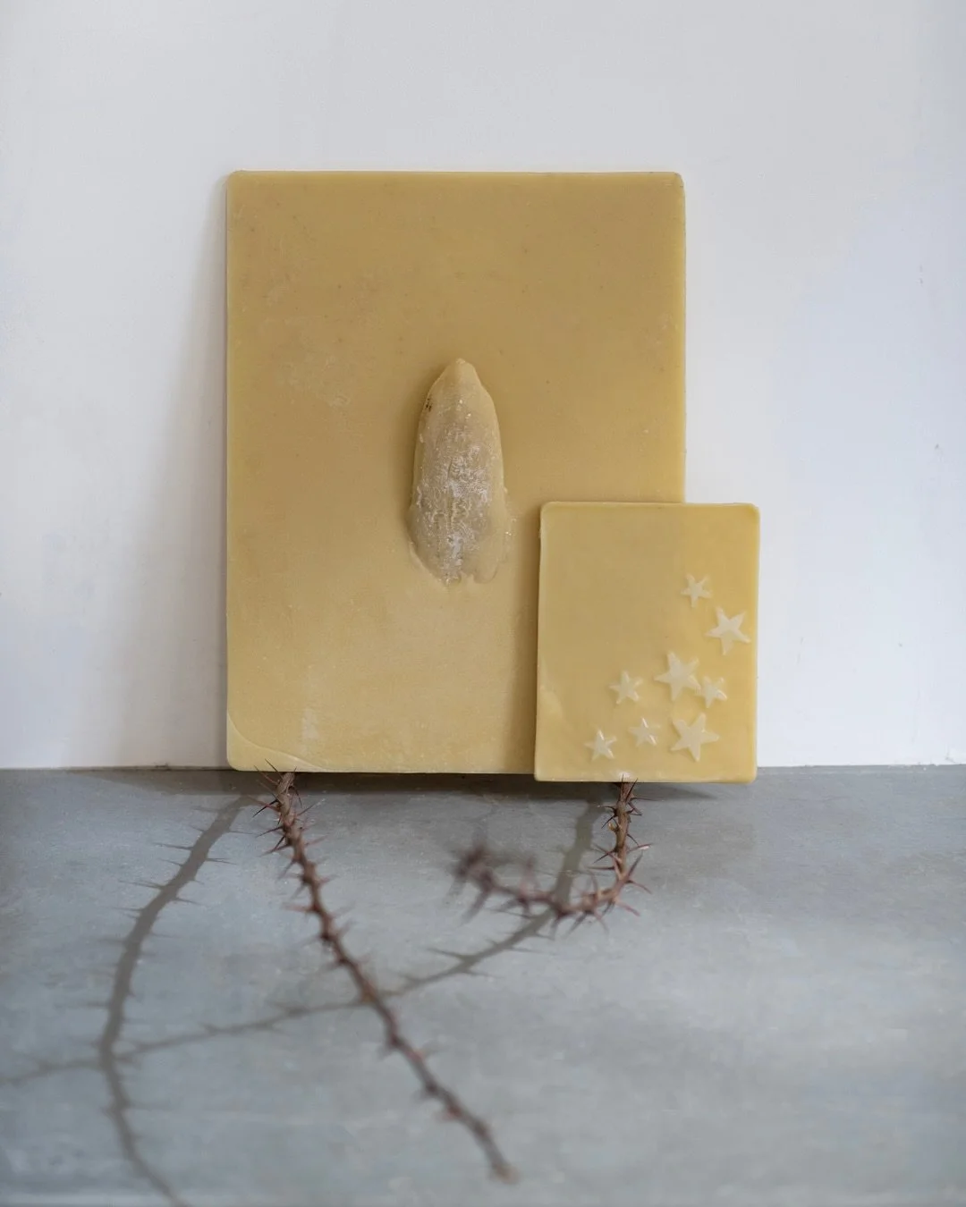 Louise Covillas&rsquo; practice is grounded in collecting and attentive observation. She gathers modest elements &mdash; bones, shells, thorns, plant fragments, playing cards found in the street &mdash; objects that have already experienced displacem