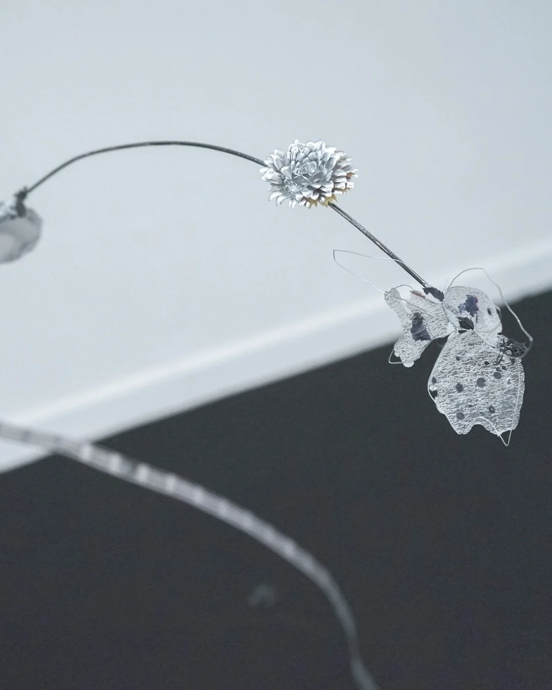 Capucine Merle x One Year Anniversary of the Paris Collection

Capucine Merle is an artist whose work navigates the delicate space between transformation, memory, and the passage of time. Through sculpture and installation, she assembles poetic lands