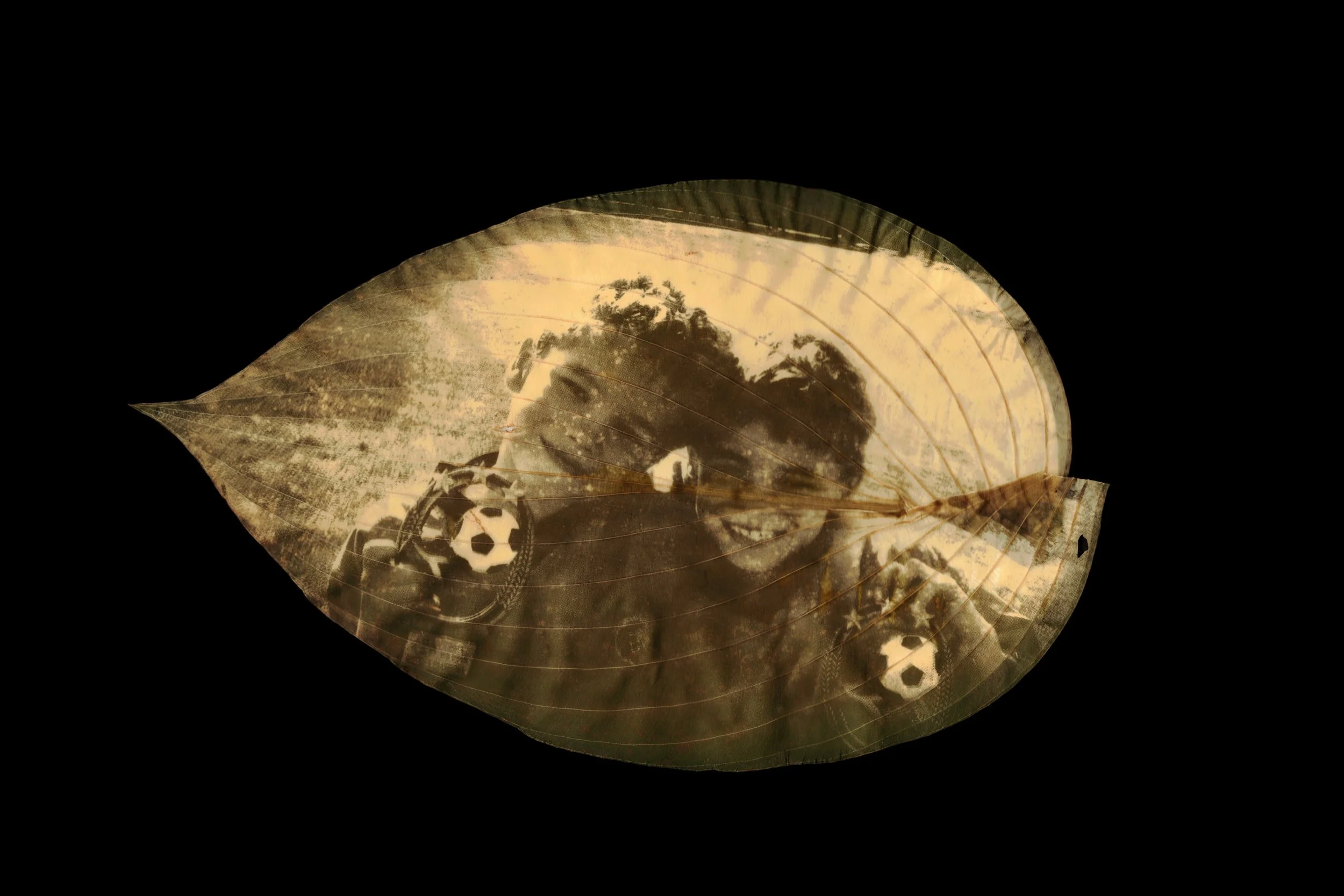 Chlorophyll individual 4.jpg