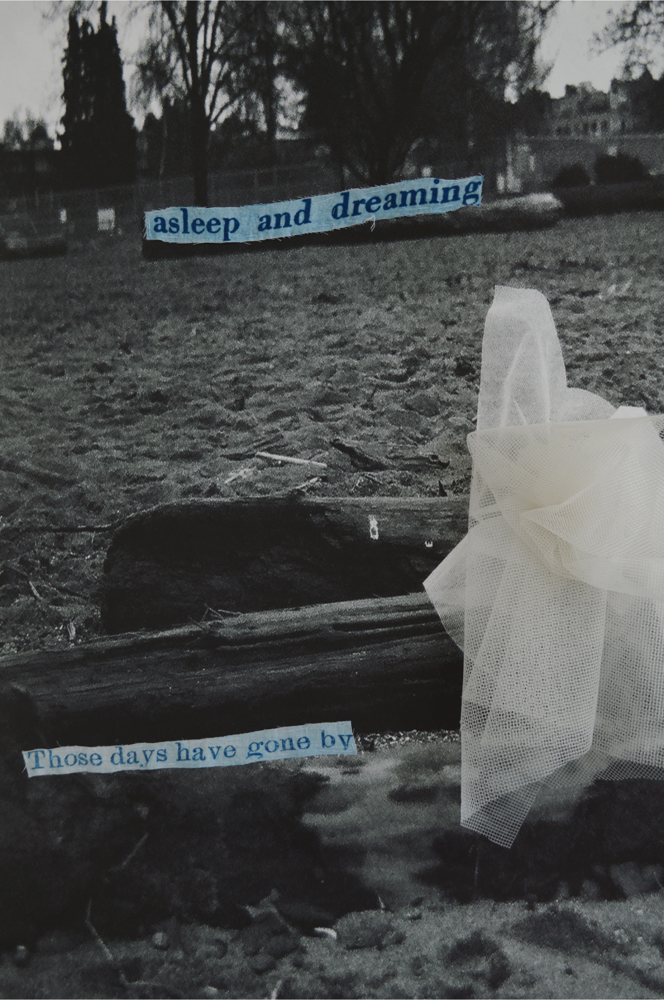 07_asleep & dreaming detail copy_small.png