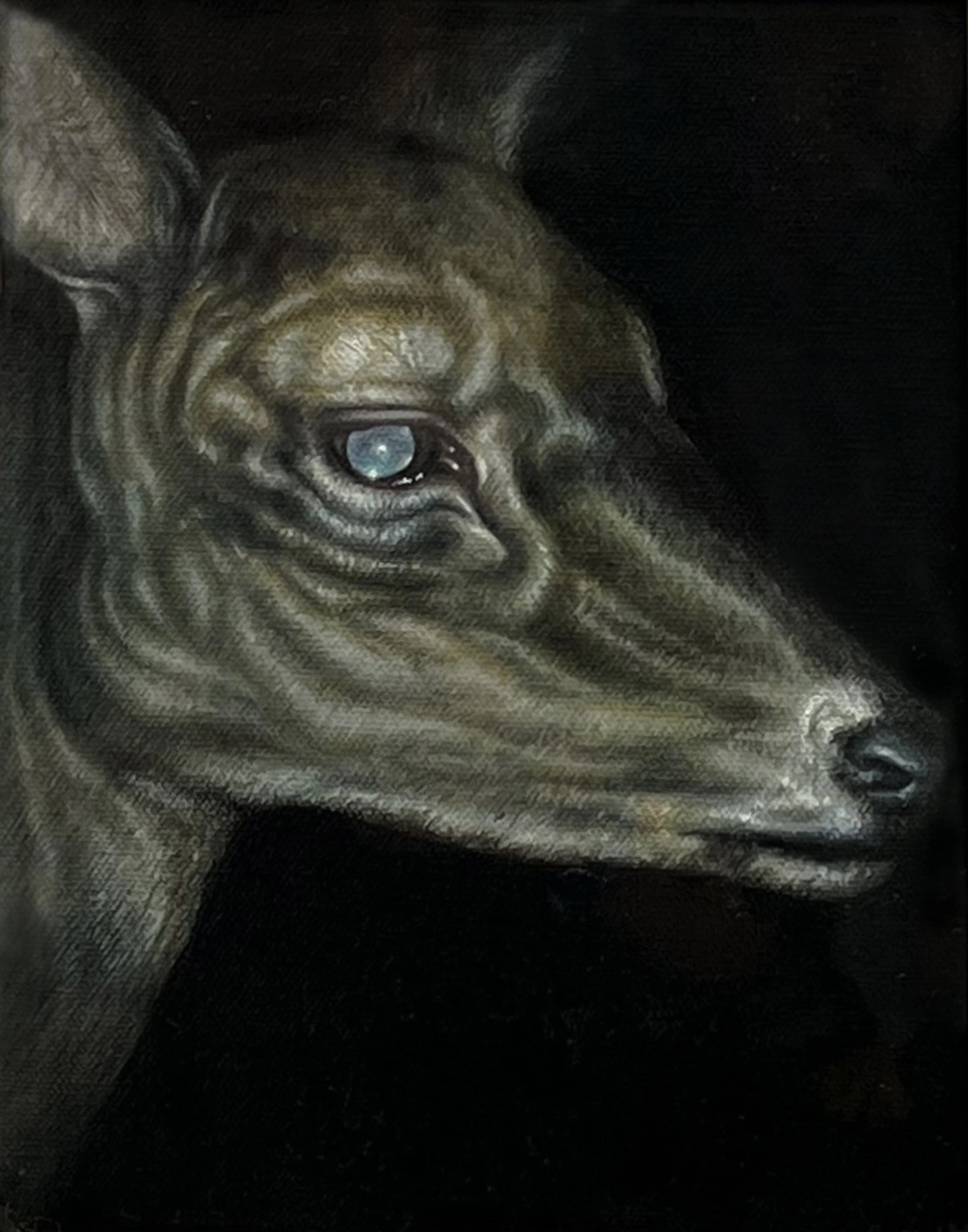 Saving Grace Cropped.jpg