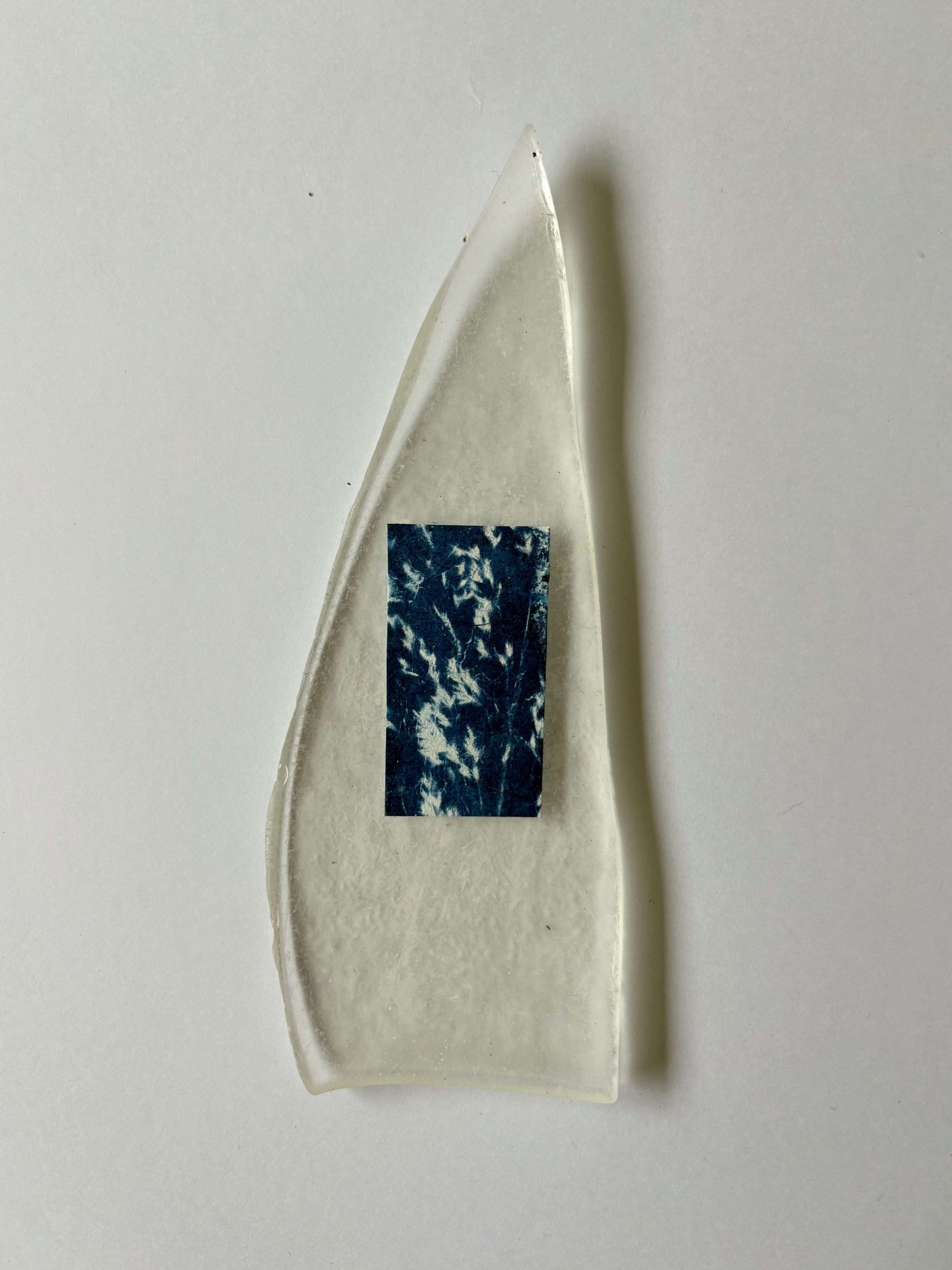 15_leitandi (searching)_small.png