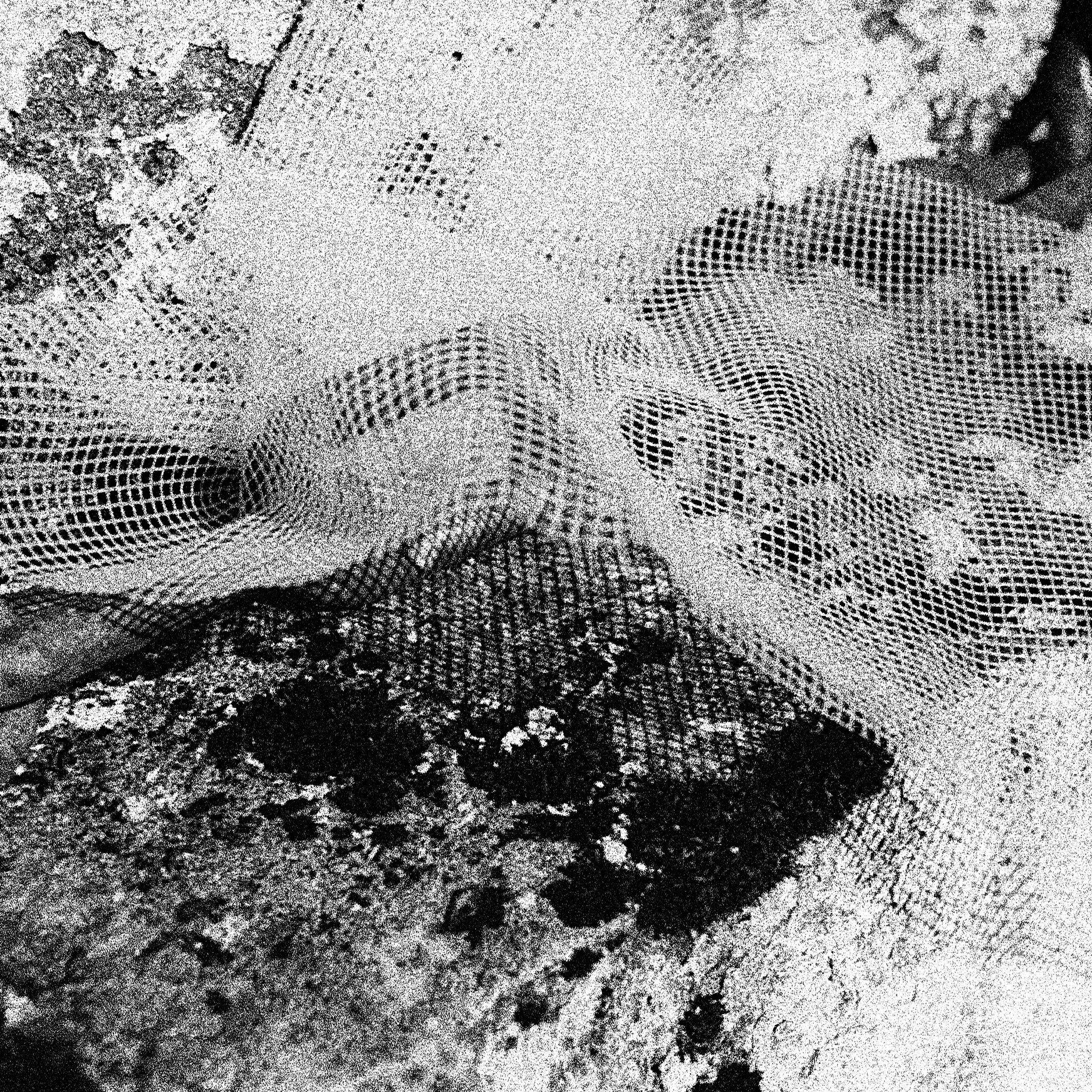 03_með rabarbara_2025_small.png