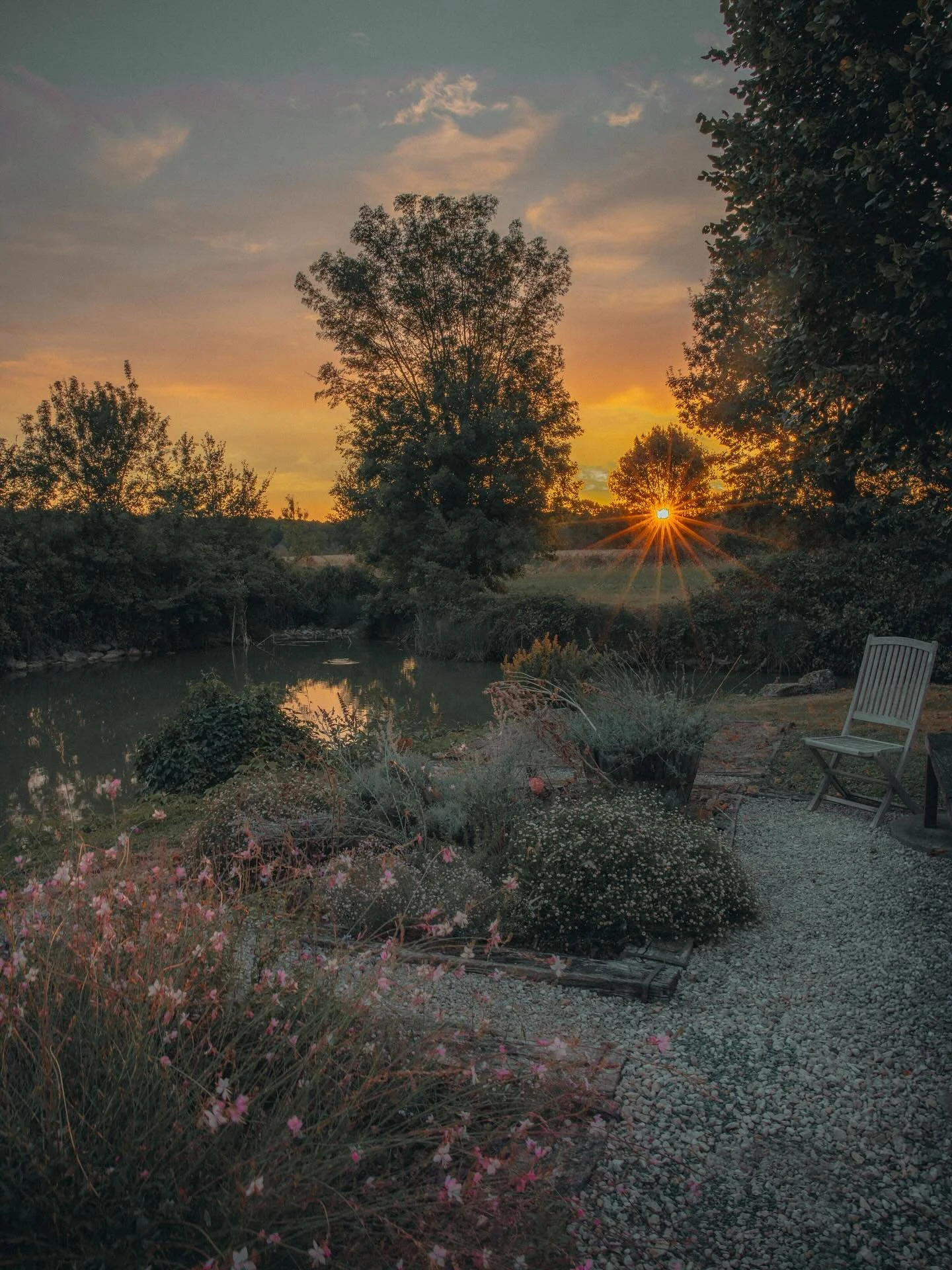 I love this little corner of our island - it&rsquo;s so peaceful watching the sunrise and listening to the dawn chorus with a coffee in hand. It&rsquo;s a wonderful way to start the day and ready myself for whatever the day might bring.
