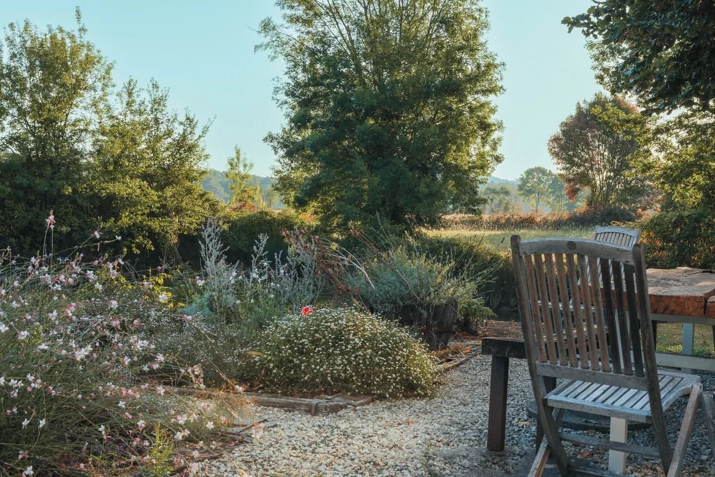 This is my favourite spot to have a cup of tea and watch the wildlife go by. There is so much going on around the moat - the large fish patrol around and the smaller fish are always jumping. The herons often pop by for a snack and if I&rsquo;m really