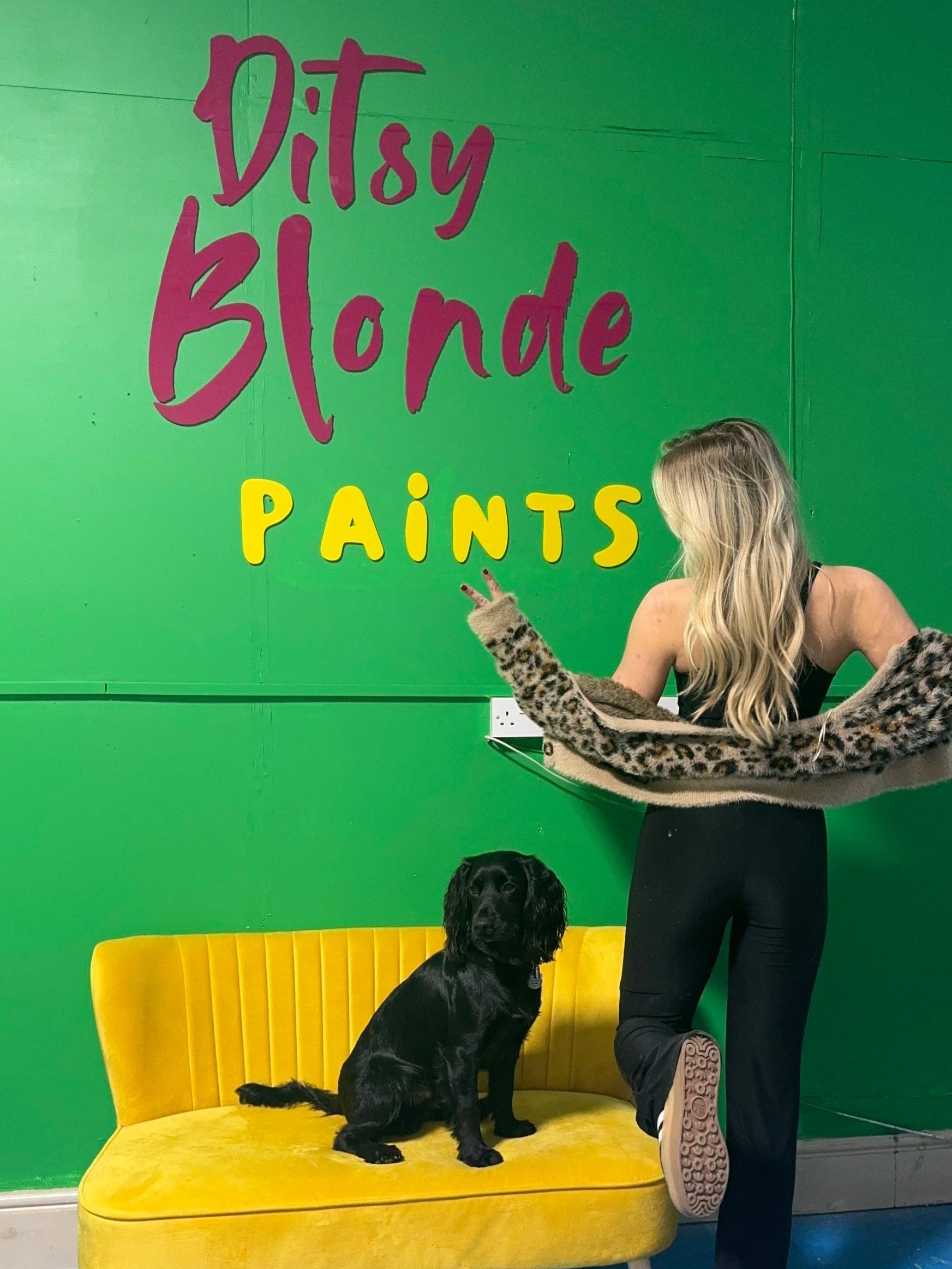 WELCOME TO DITSY BLONDE PAINTS..
