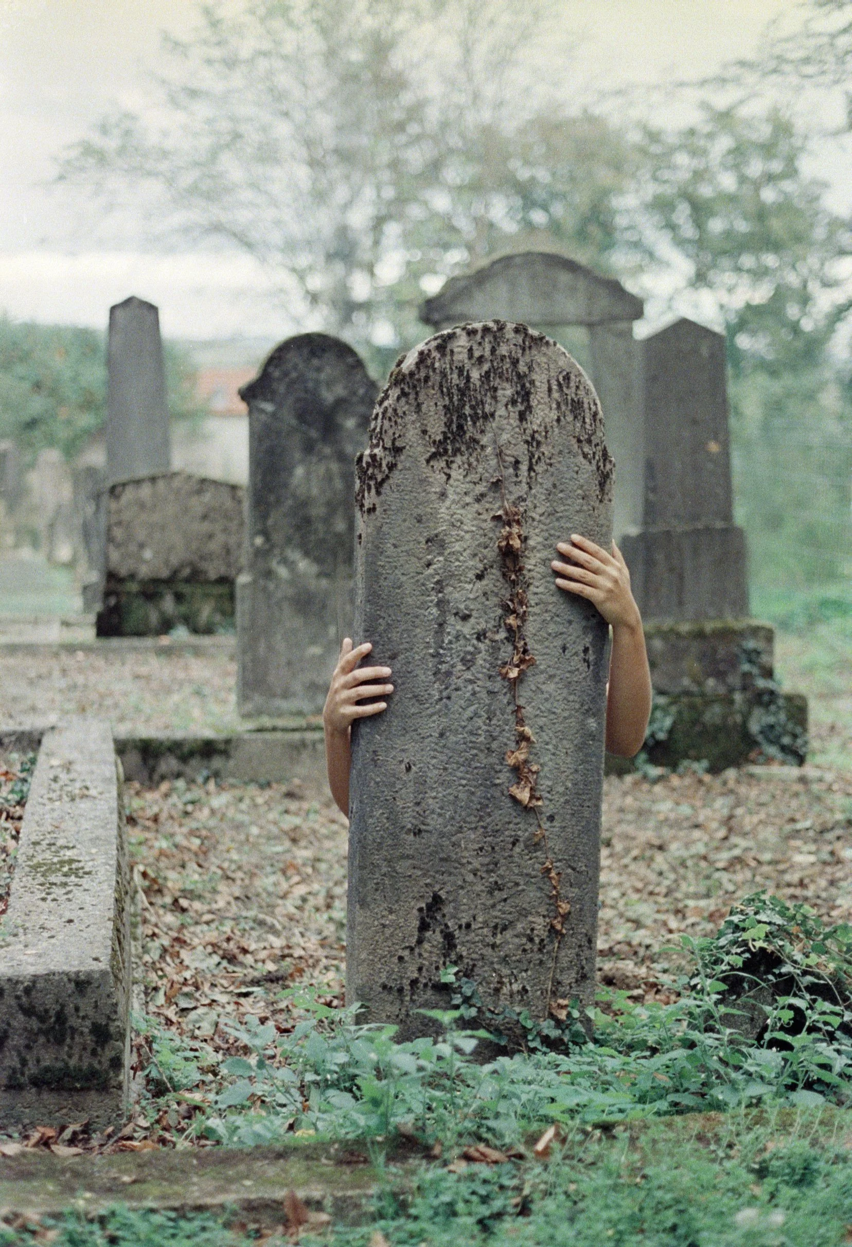 gravehands.jpg
